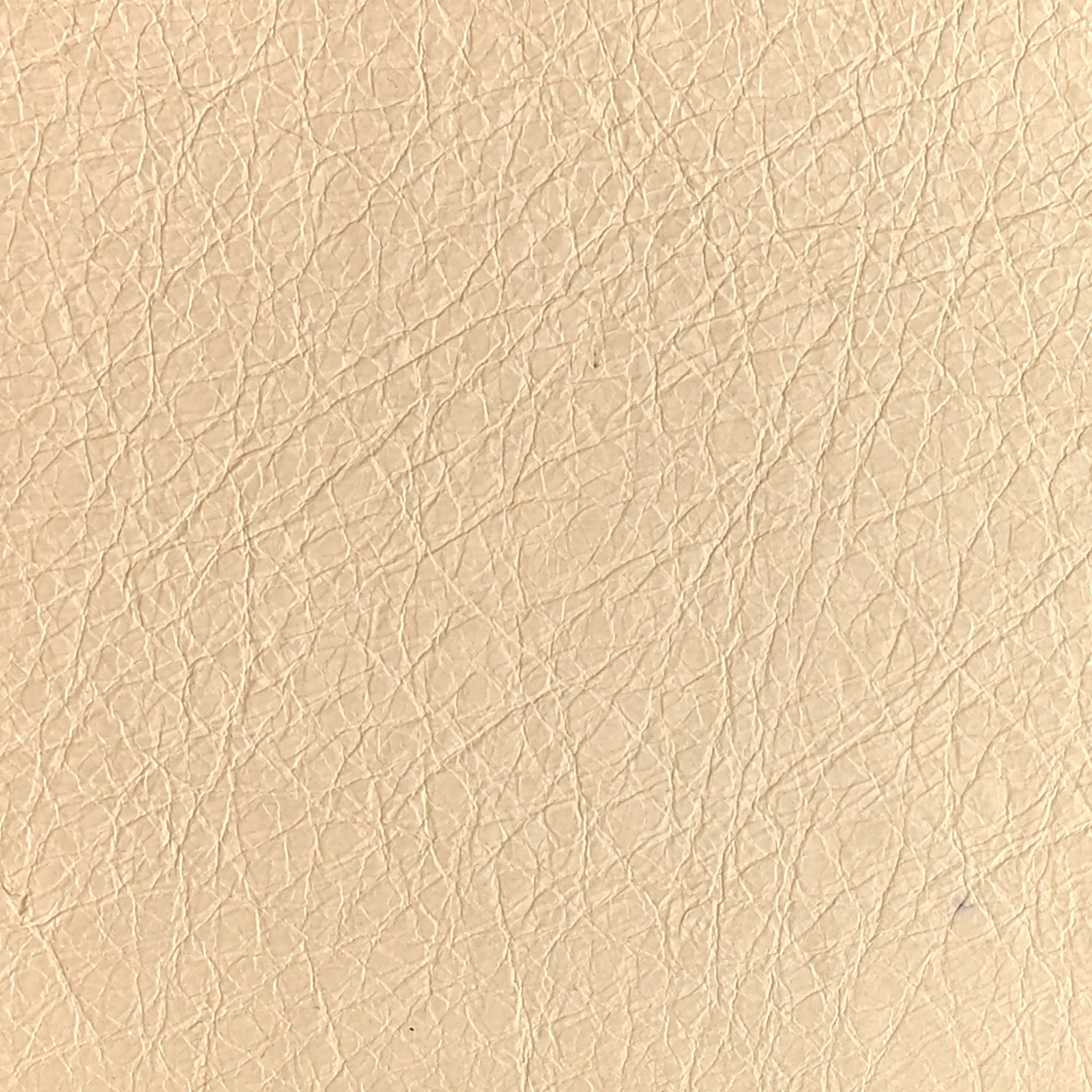 Agneau Classic Hardware Velo Nacre - Image 32