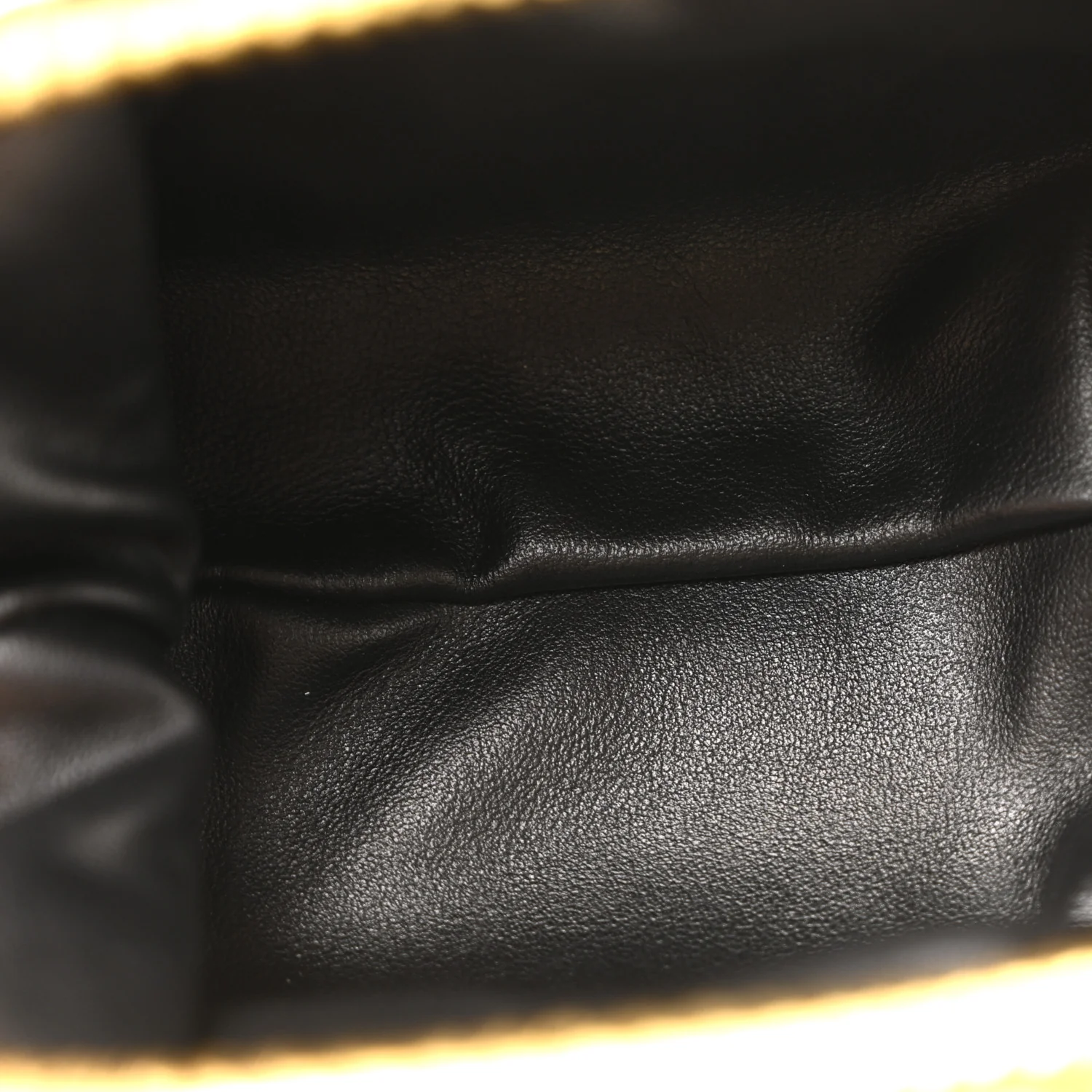 Metallic Bark Calfskin The Mini Pouch Gold - Image 13