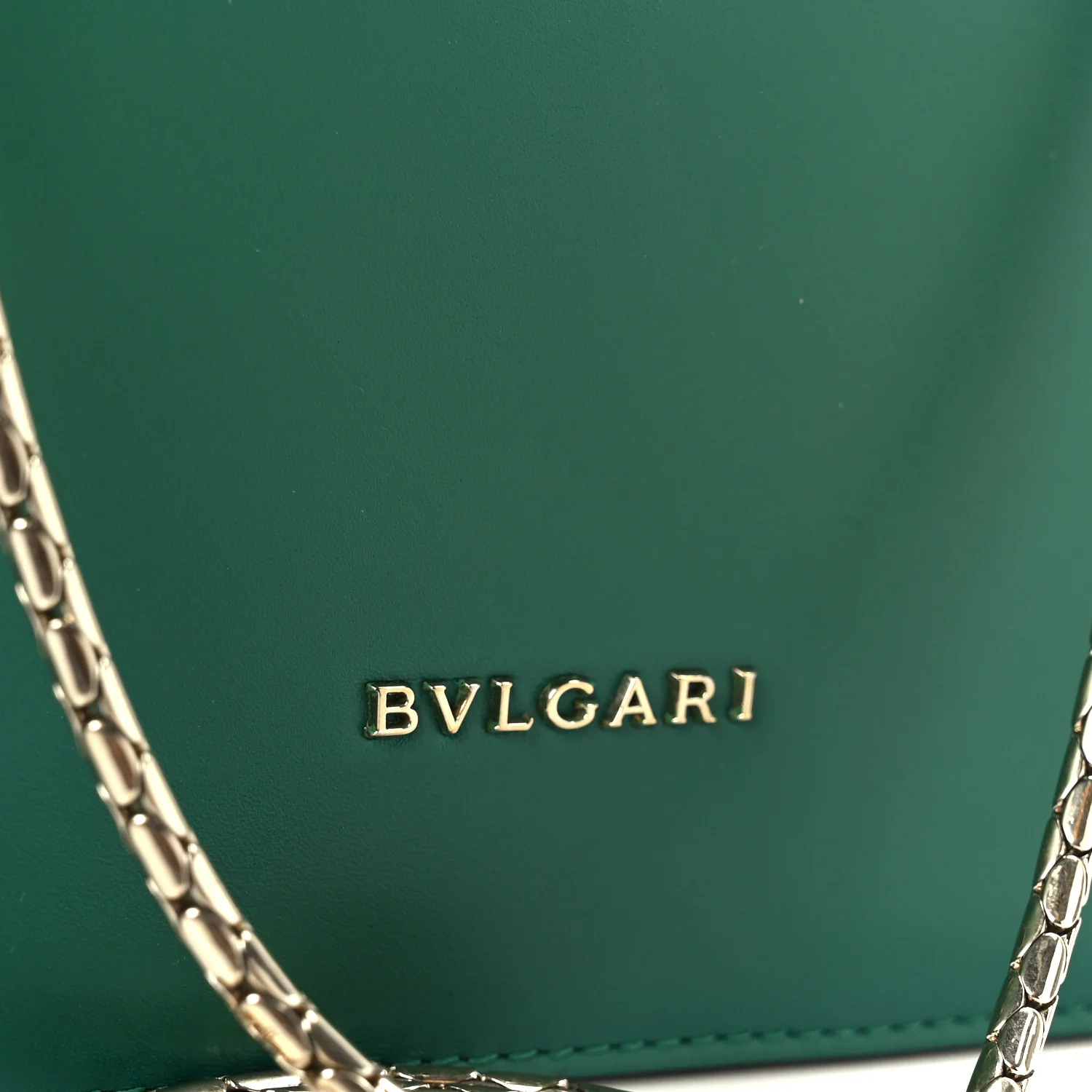 Galuchat Calfskin Serpenti Forever Crossbody Bag Green - Image 9