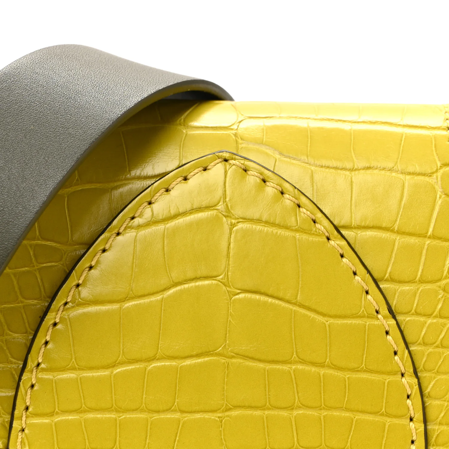 Alligator Bridle Micro Satchel Lime - Image 22