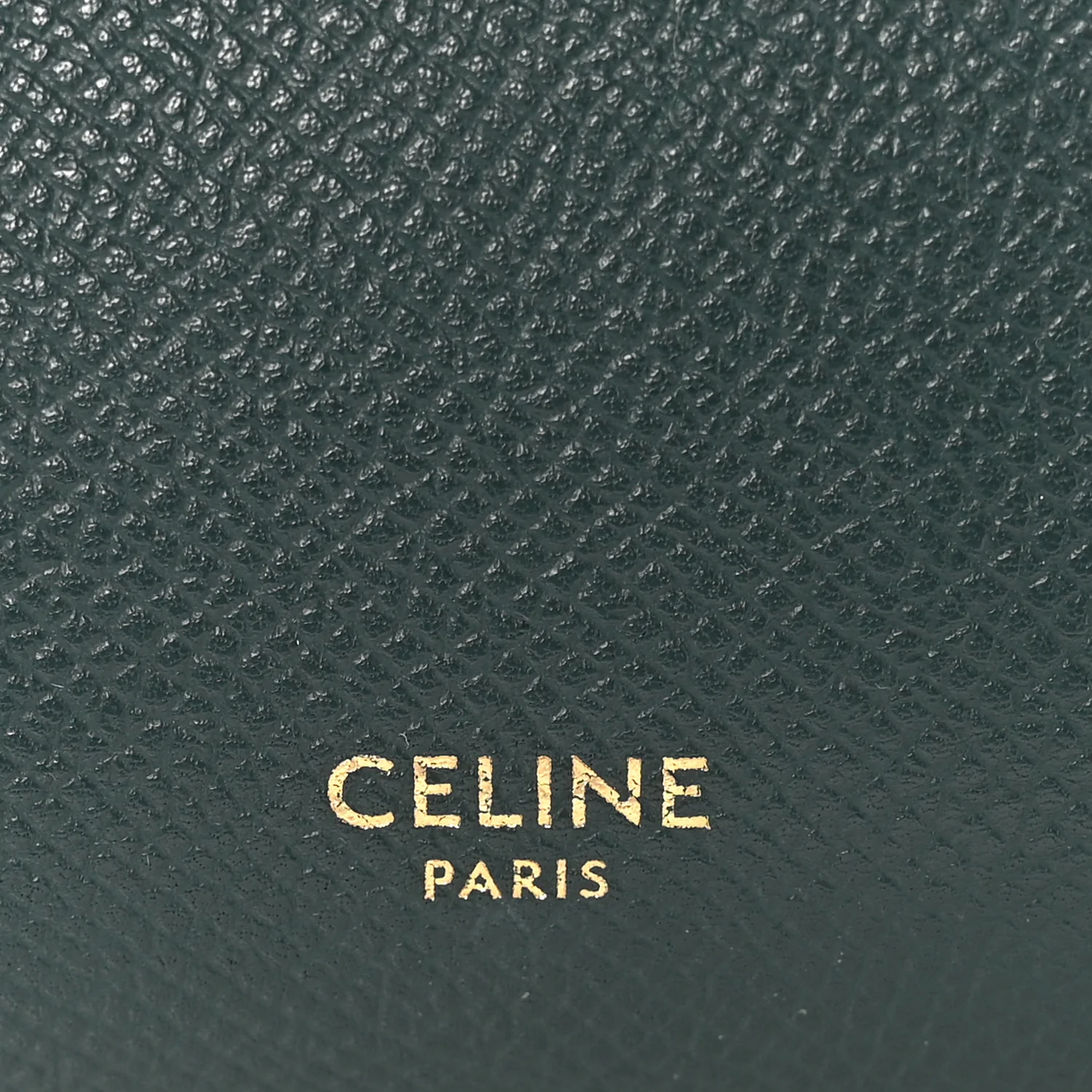 Grained Calfskin Micro Belt Bag Amazone - Image 6