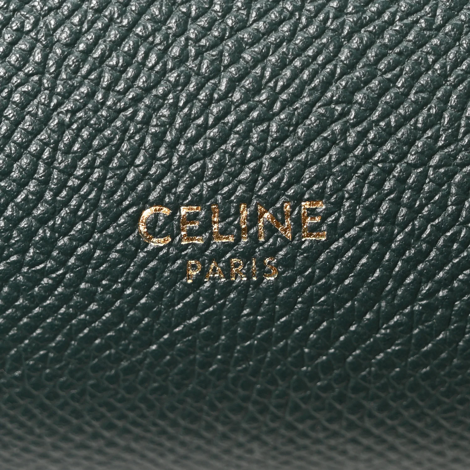 Grained Calfskin Micro Belt Bag Amazone - Image 6