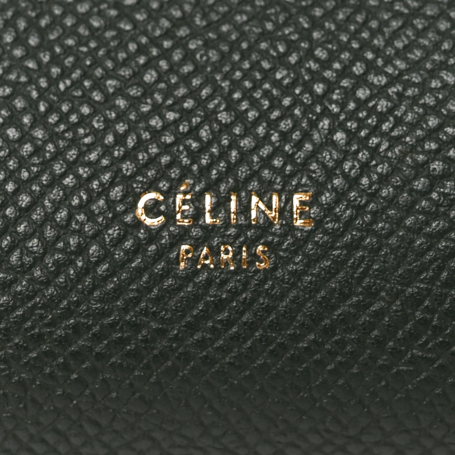 Grained Calfskin Mini Belt Bag Amazone - Image 6