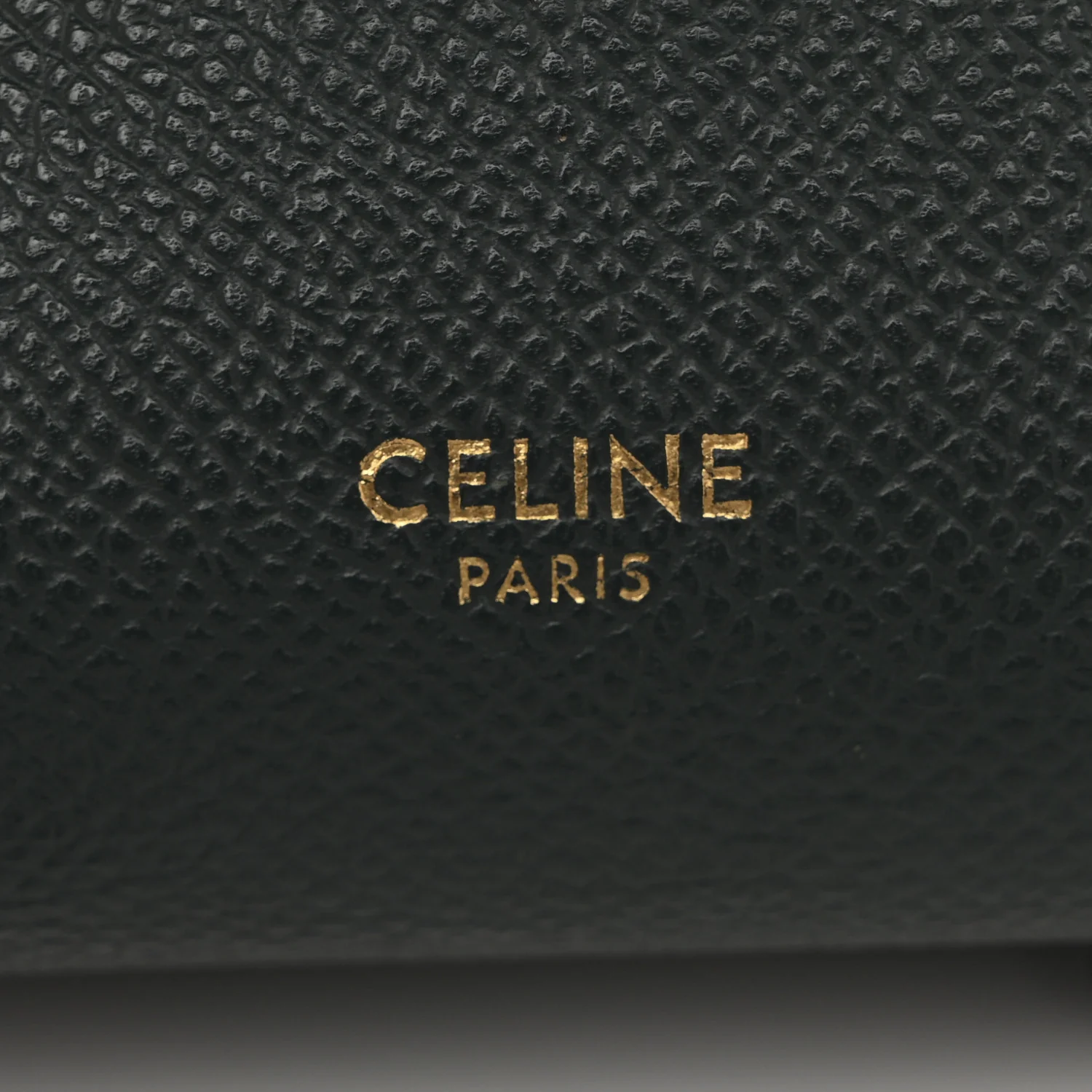 Grained Calfskin Nano Belt Bag Amazone - Image 6