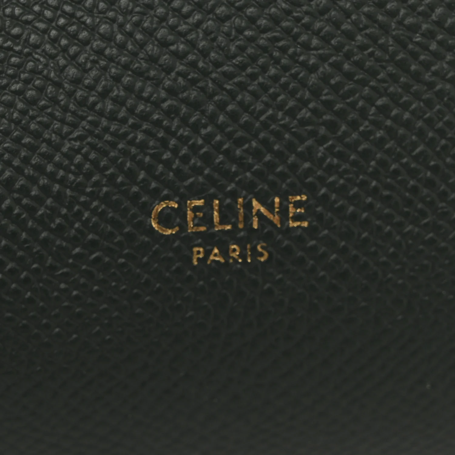 Grained Calfskin Nano Belt Bag Amazone - Image 6
