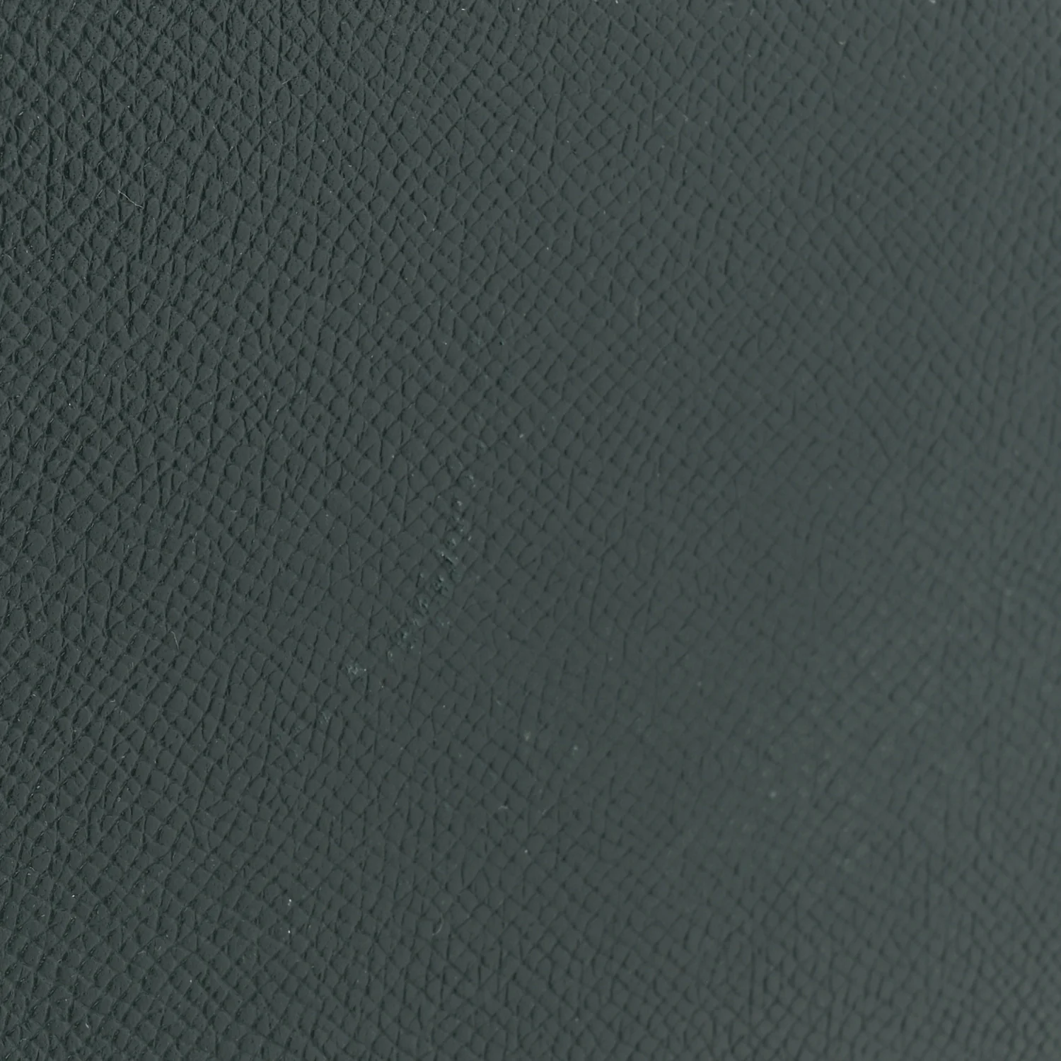 Grained Calfskin Nano Belt Bag Amazone - Image 14