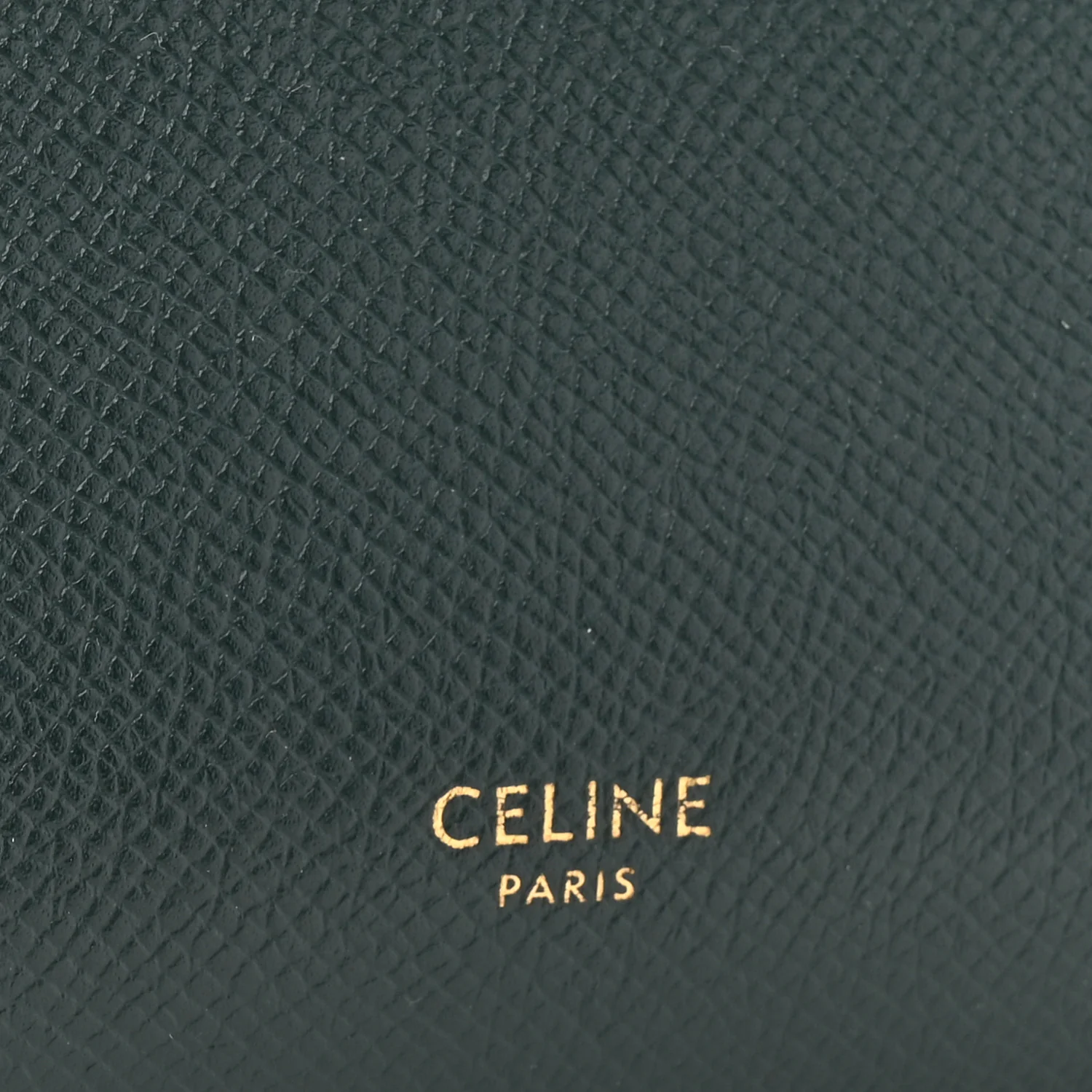 Grained Calfskin Nano Belt Bag Amazone - Image 6