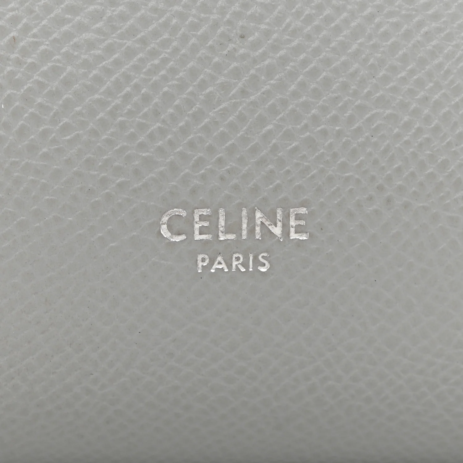 Grained Calfskin Nano Belt Bag Mineral - Image 6