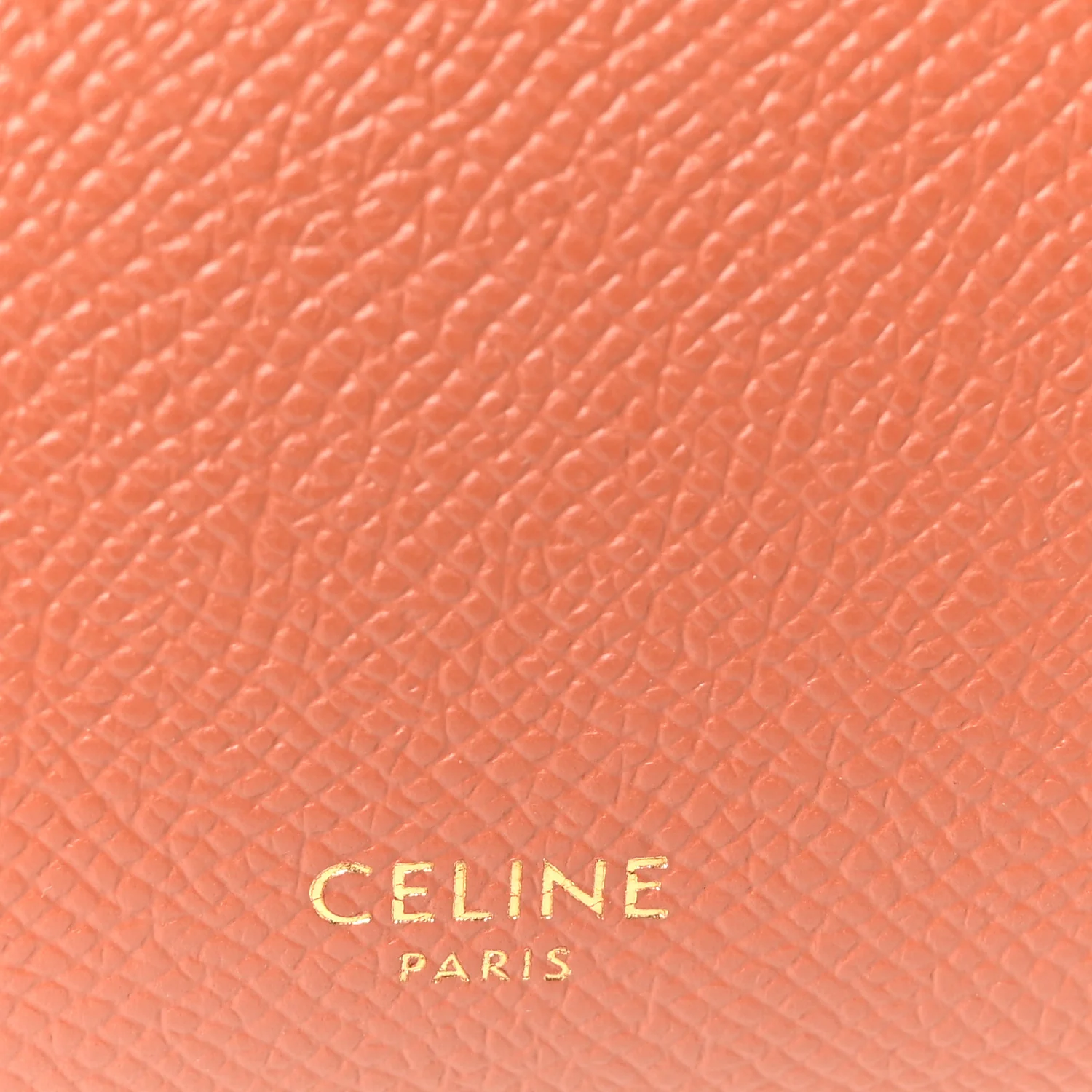 Grained Calfskin Nano Belt Bag Terracotta - Image 6