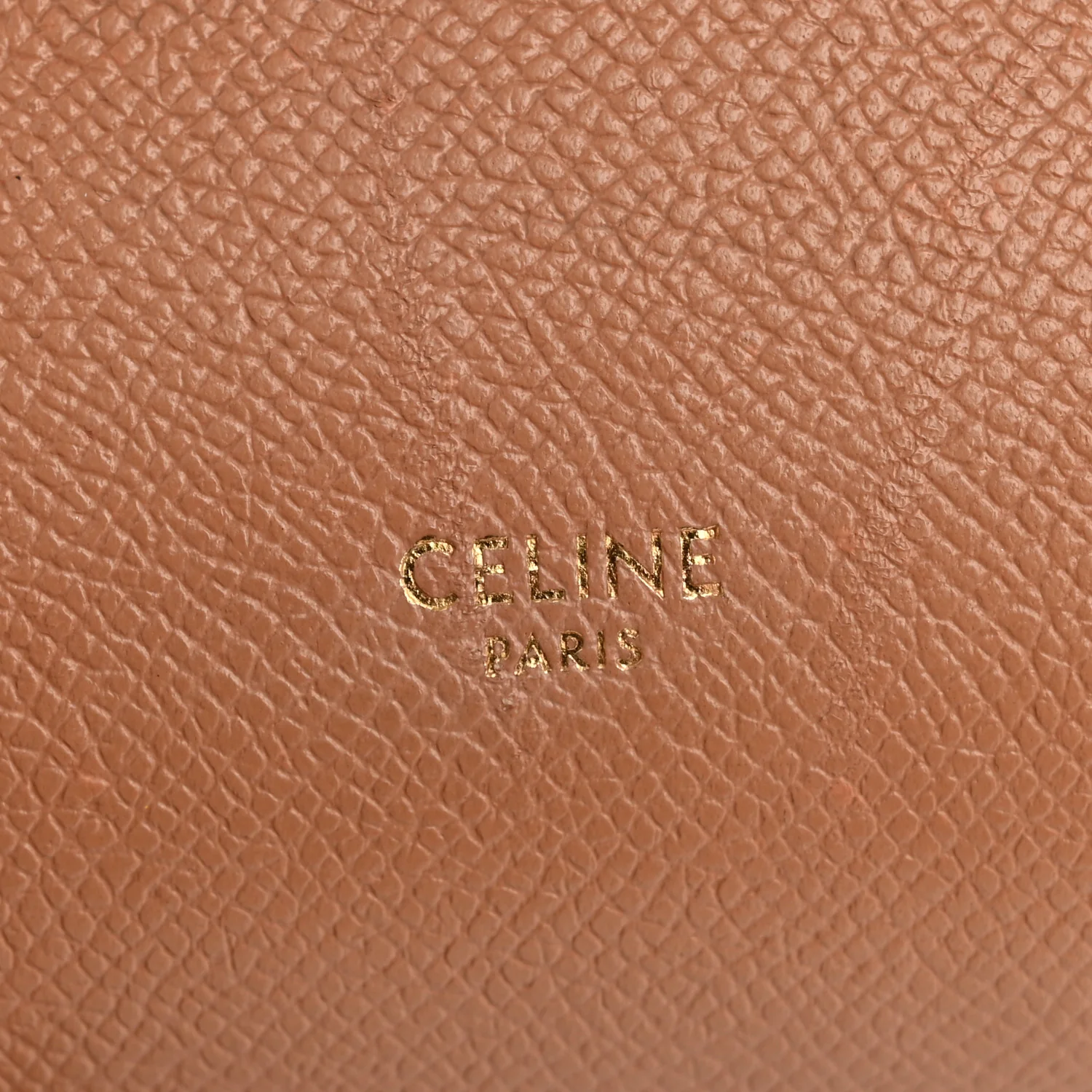 Grained Calfskin Pico Belt Bag Light Taupe - Image 6