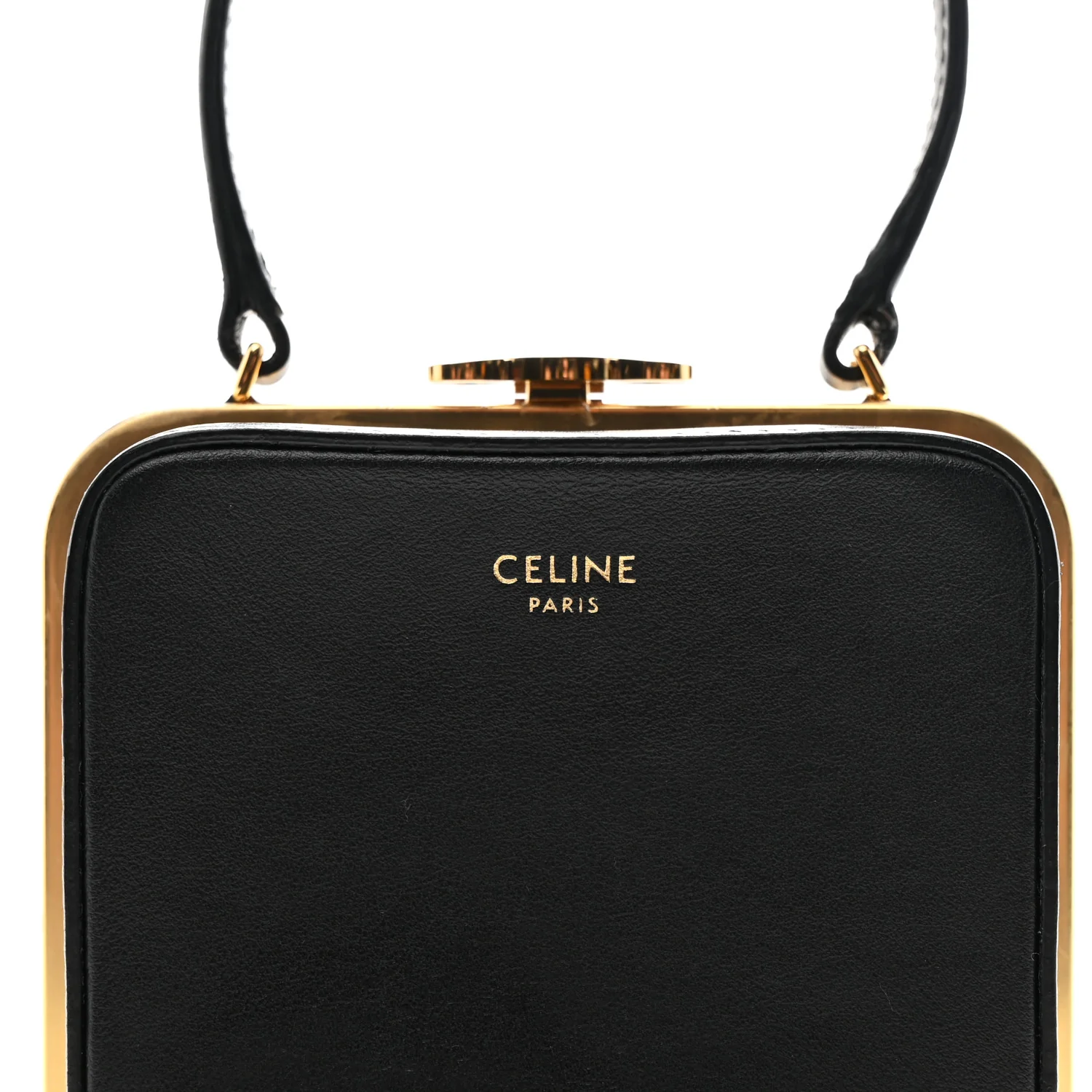 Shiny Calfskin Lana Triomphe Minaudiere Black - Image 14