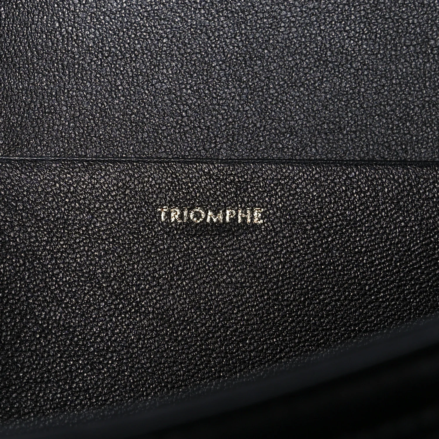Shiny Calfskin Medium Triomphe Black - Image 6