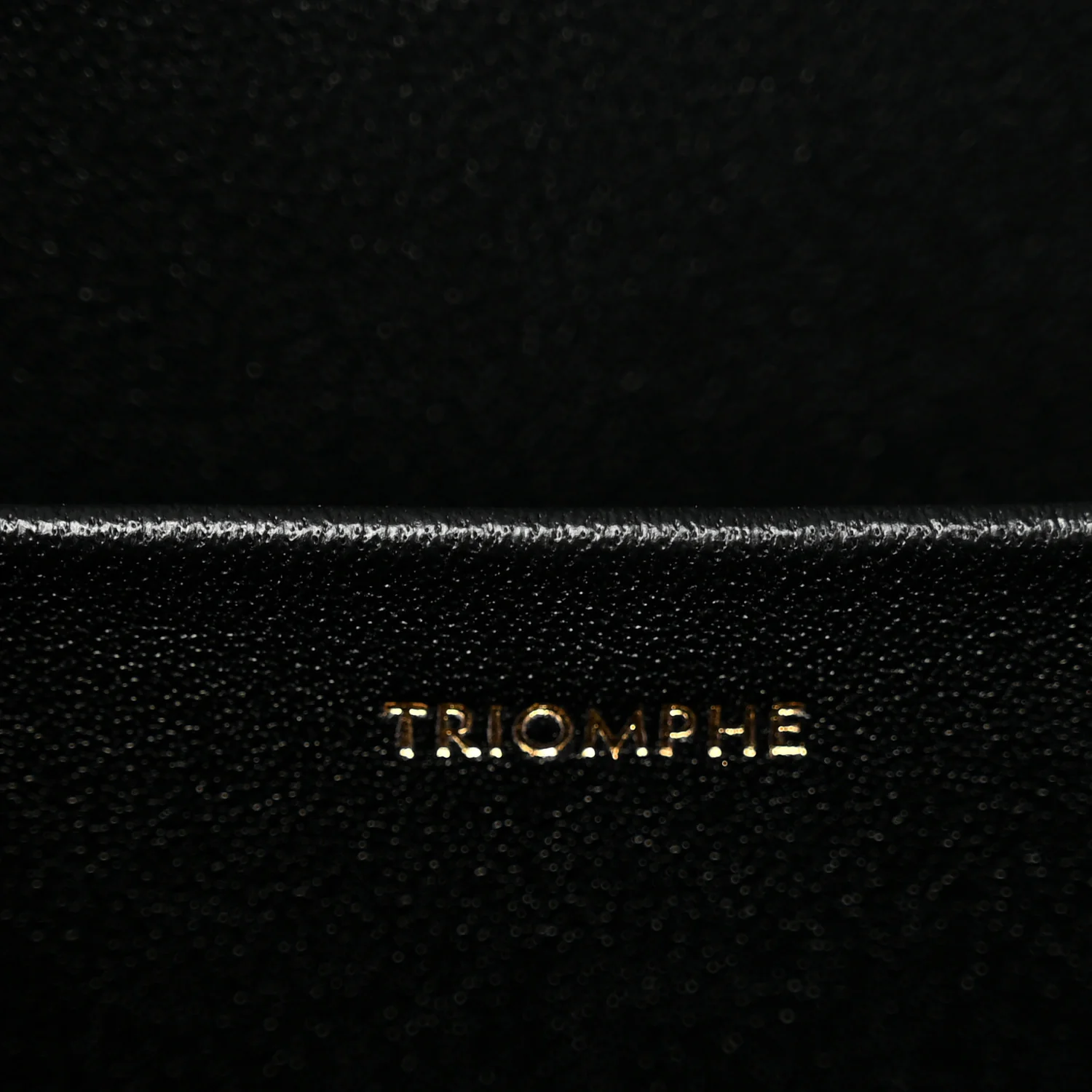 Shiny Calfskin Medium Triomphe Black - Image 7