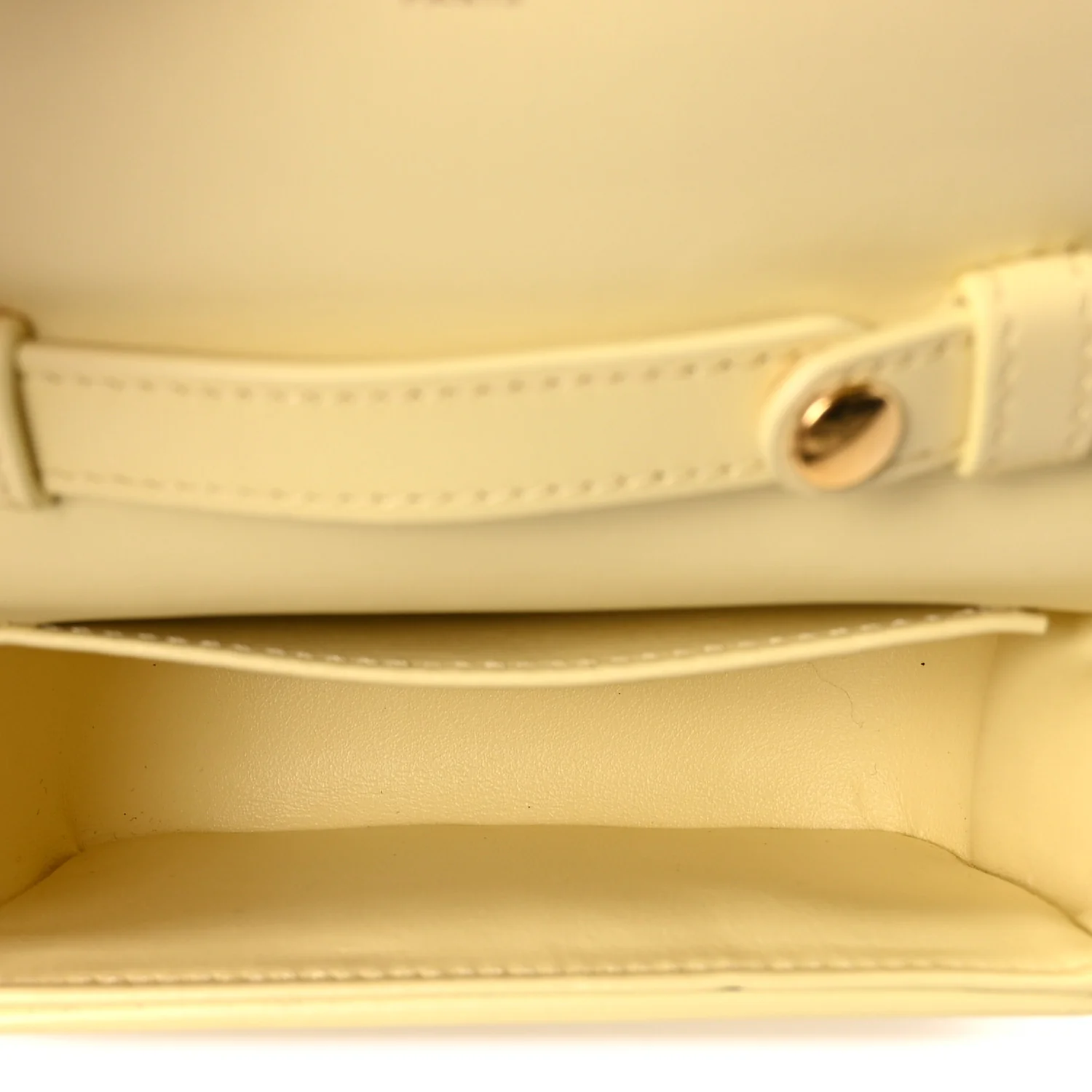 Shiny Calfskin Mini Claude Pollen - Image 4