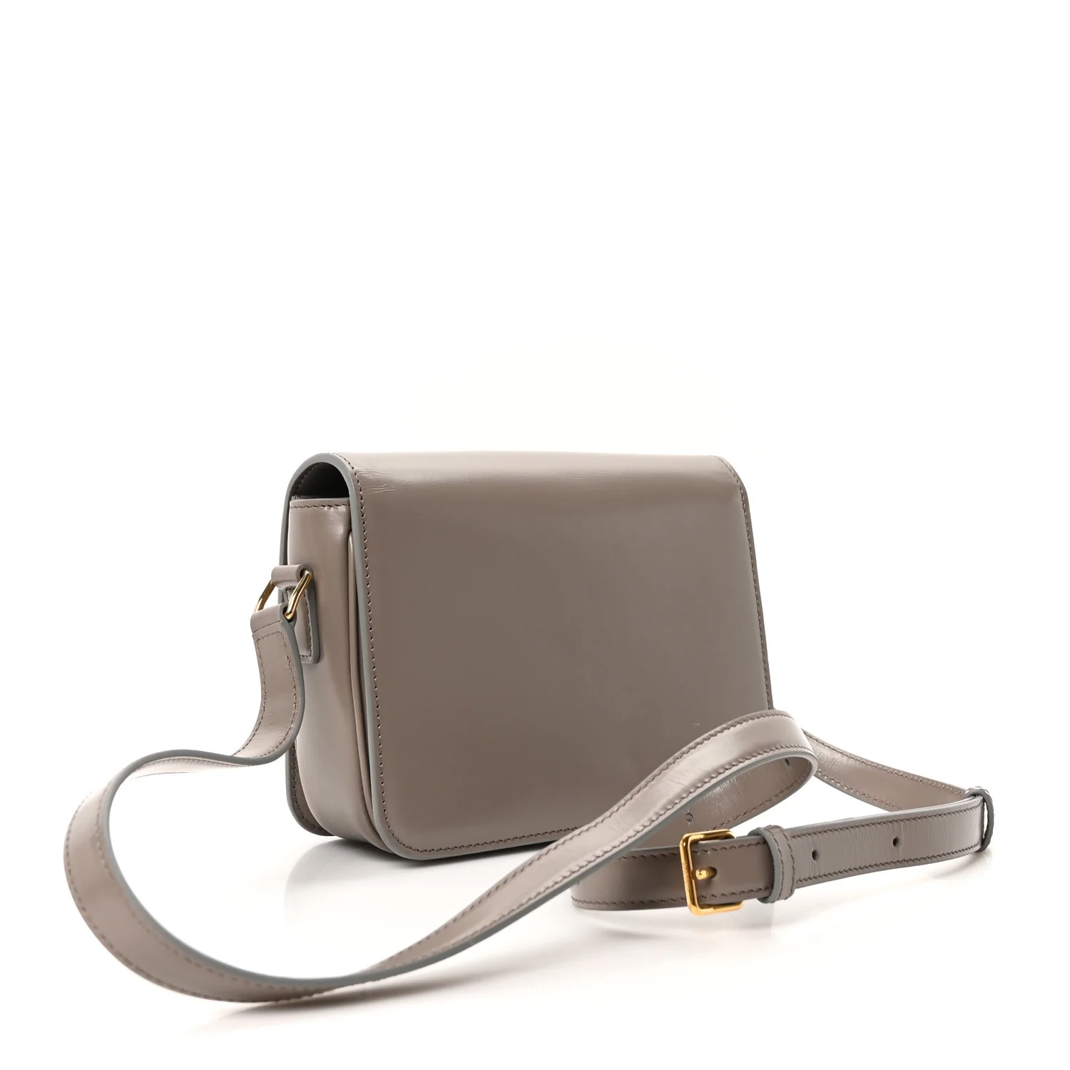 Shiny Calfskin Small Triomphe Pebble - Image 3