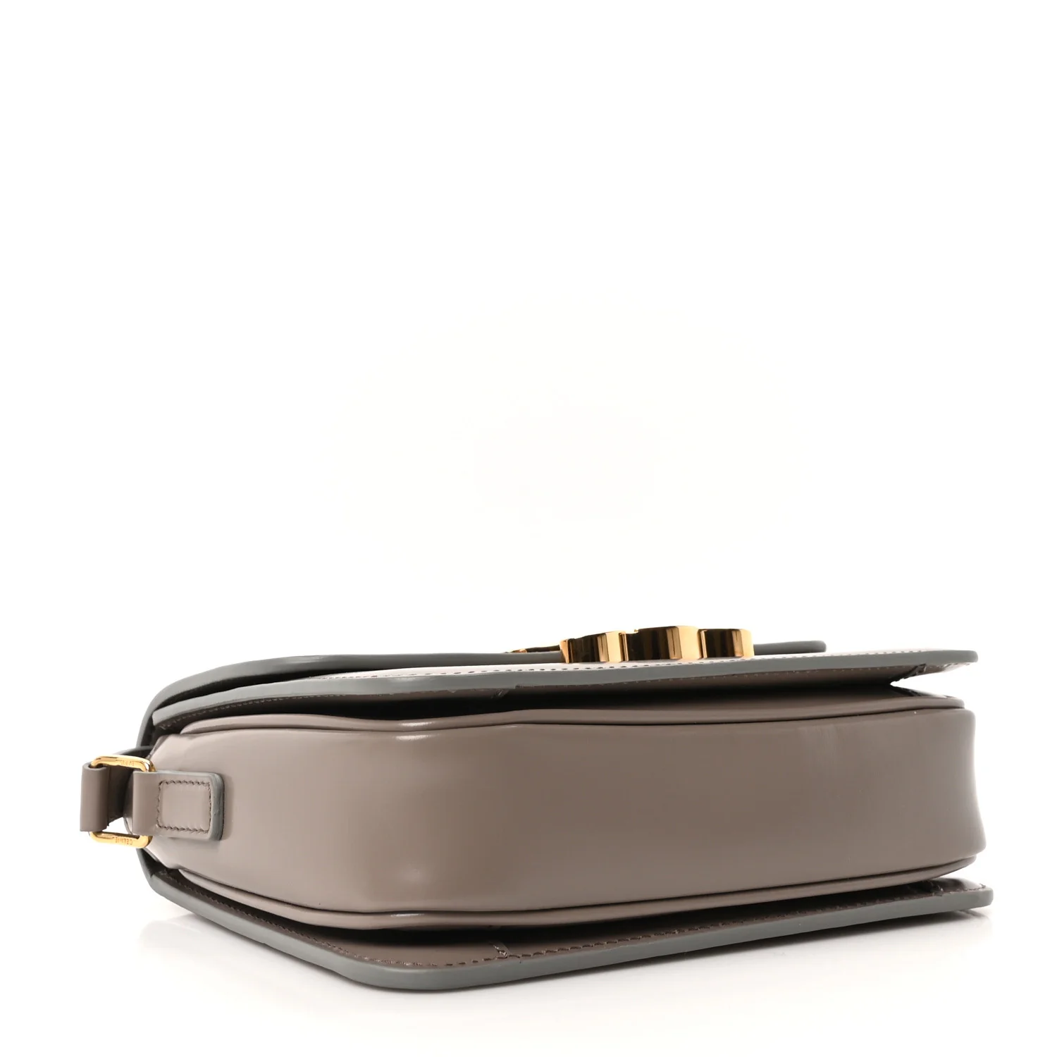 Shiny Calfskin Small Triomphe Pebble - Image 4