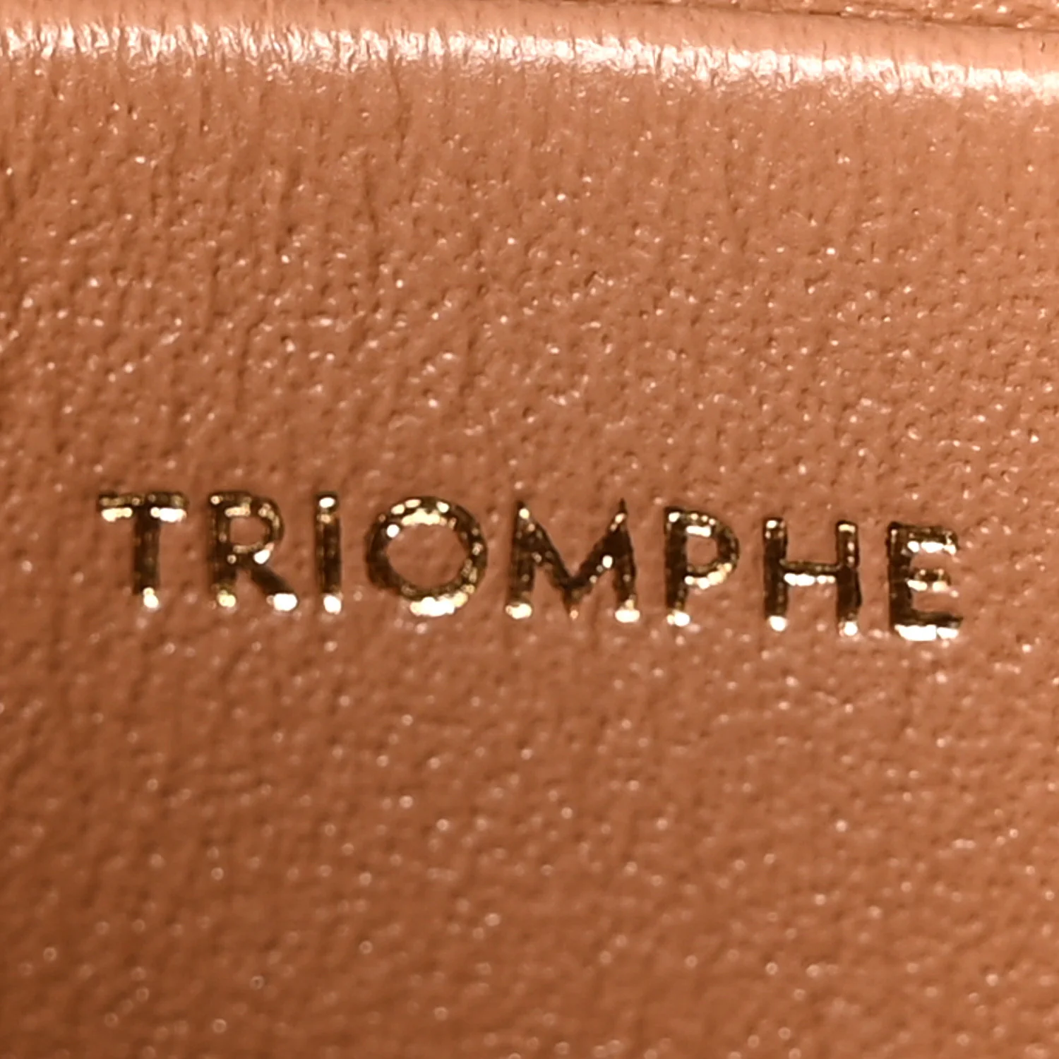 Shiny Calfskin Teen Triomphe Bronze - Image 6