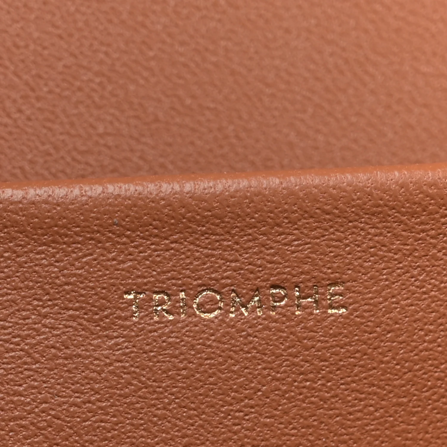 Triomphe Canvas Calfskin Medium Triomphe Bag Tan - Image 7