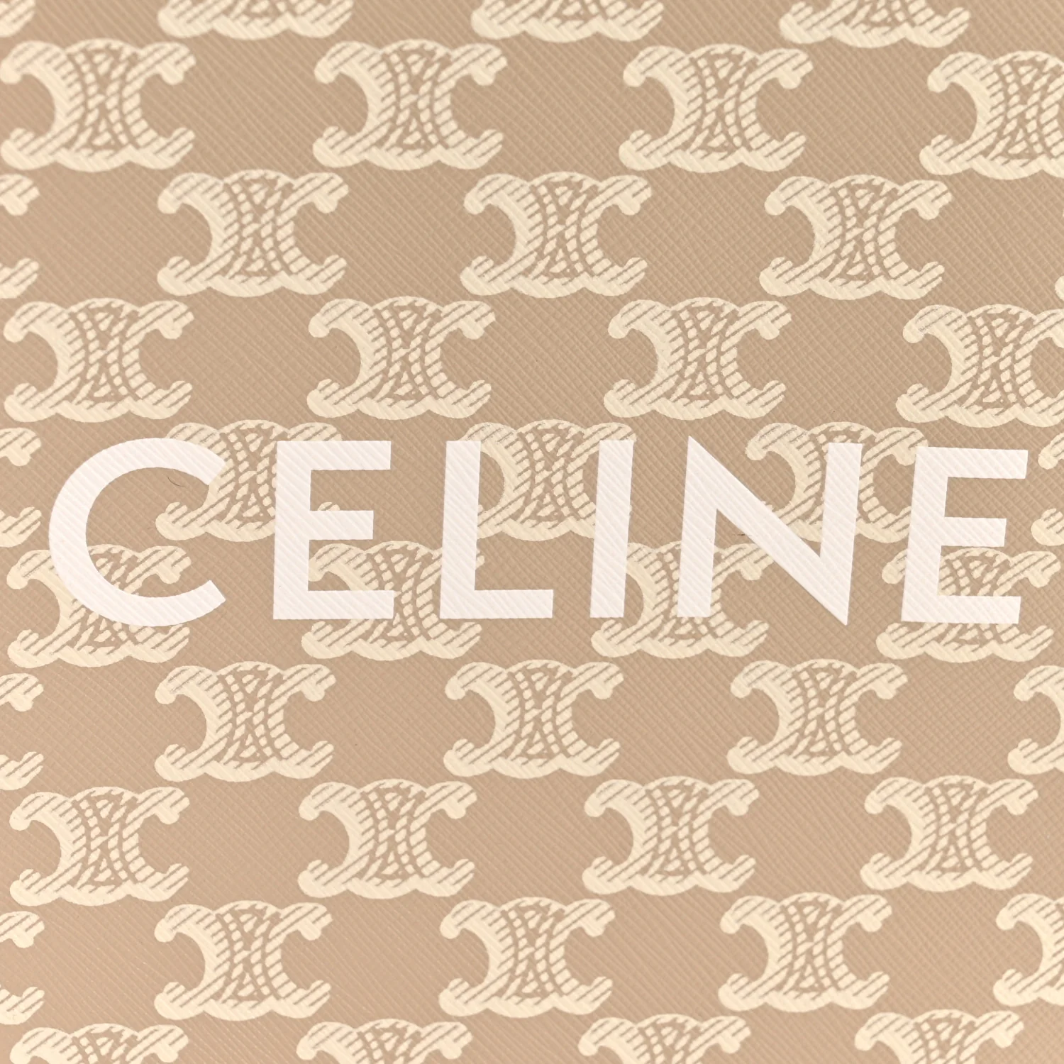 Triomphe Canvas Calfskin Mini Vertical Cabas Grege - Image 6
