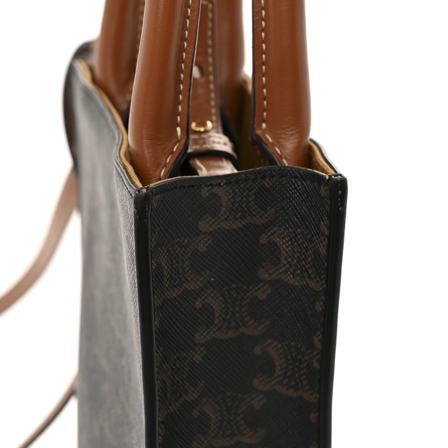 Triomphe Canvas Calfskin Mini Vertical Cabas Tan - Image 14