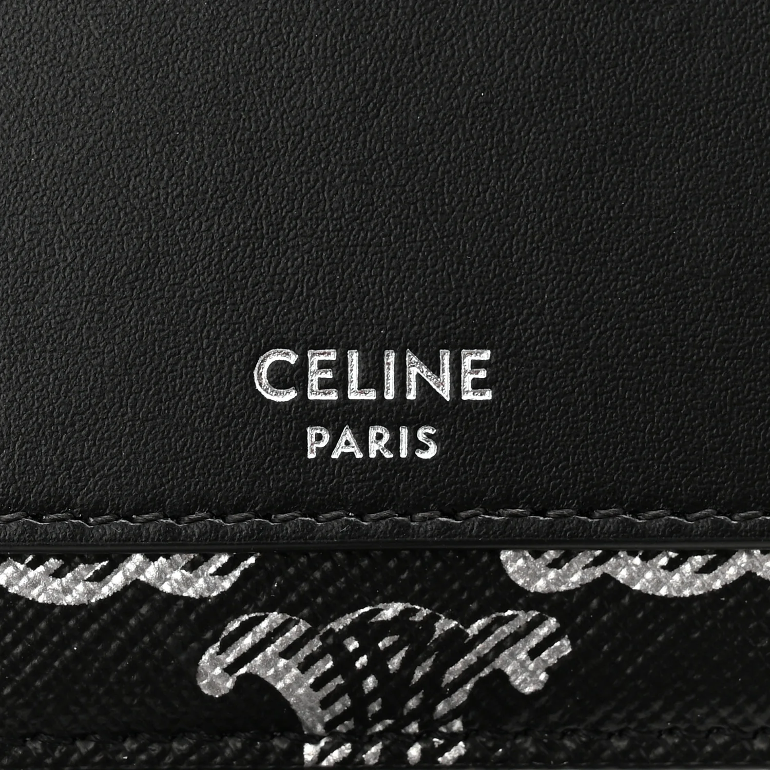 Triomphe Canvas Horizontal Pouch Silver Black - Image 11