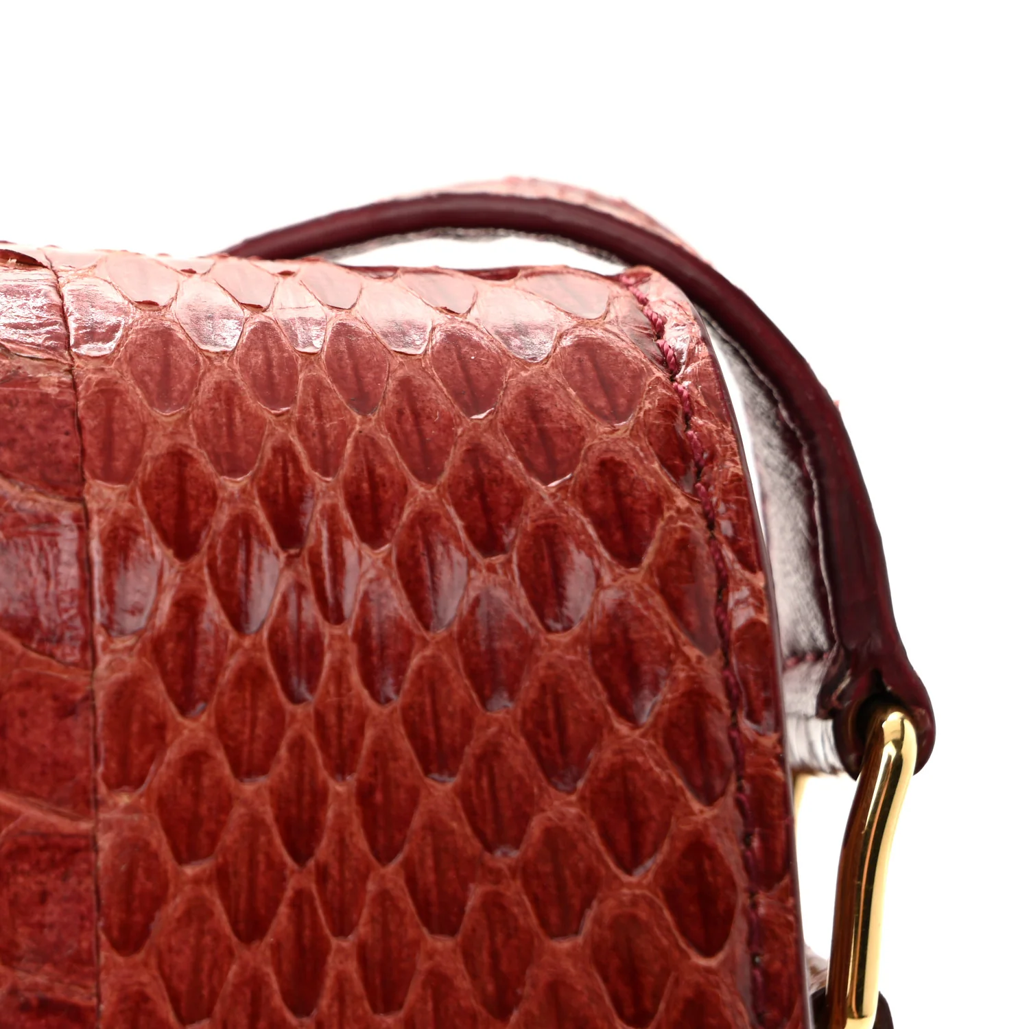 Watersnake Teen Triomphe Ruby - Image 11