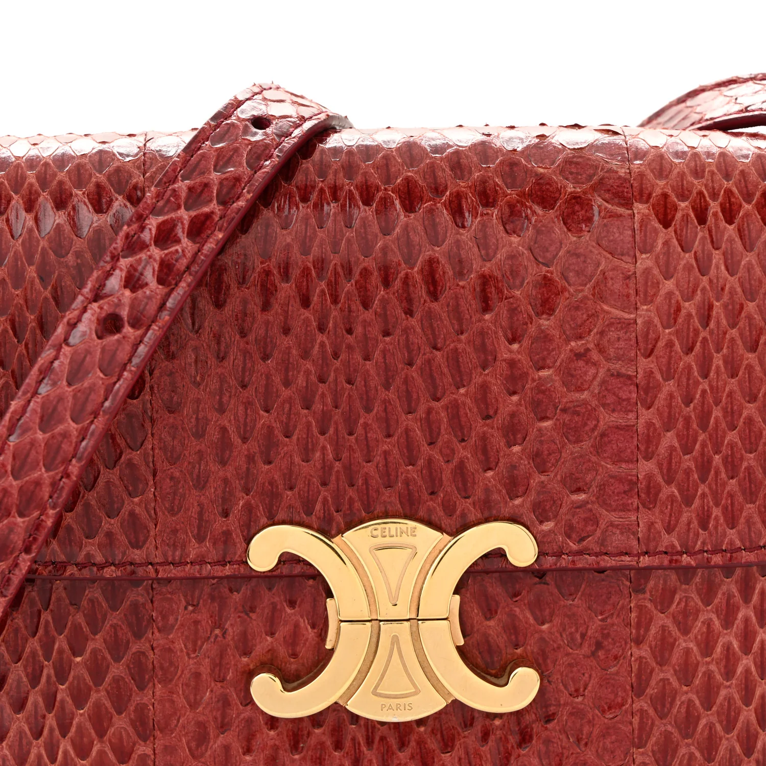 Watersnake Teen Triomphe Ruby - Image 8