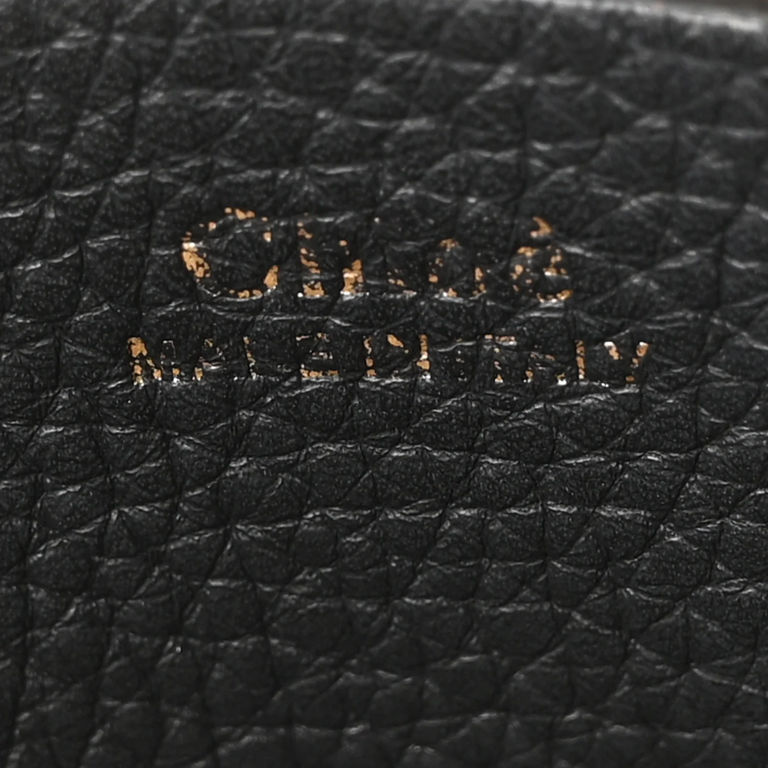 Grained Calfskin Mini Hayley Hobo Black - Image 6