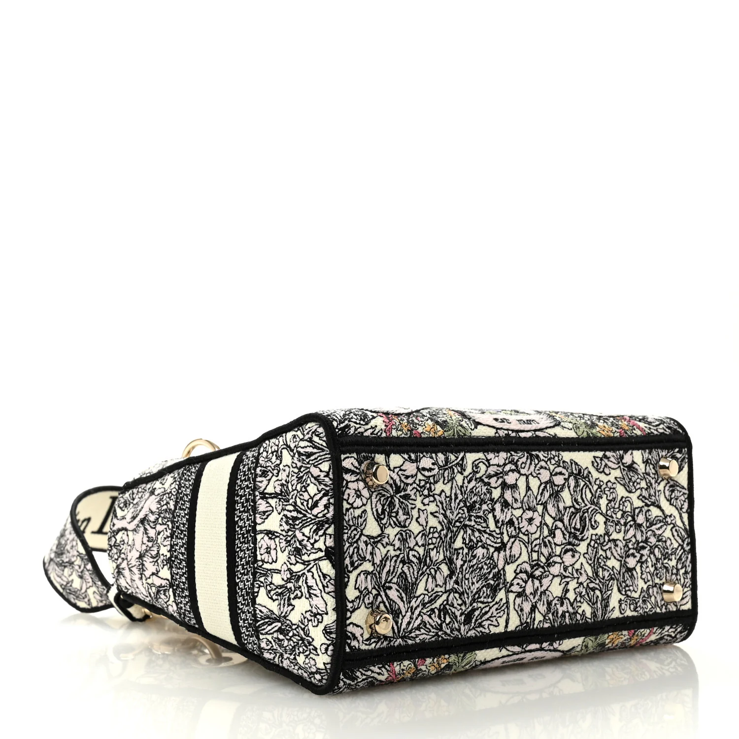 Canvas Around the World Embroidered Medium Lady D-Lite White Multicolor - Image 4