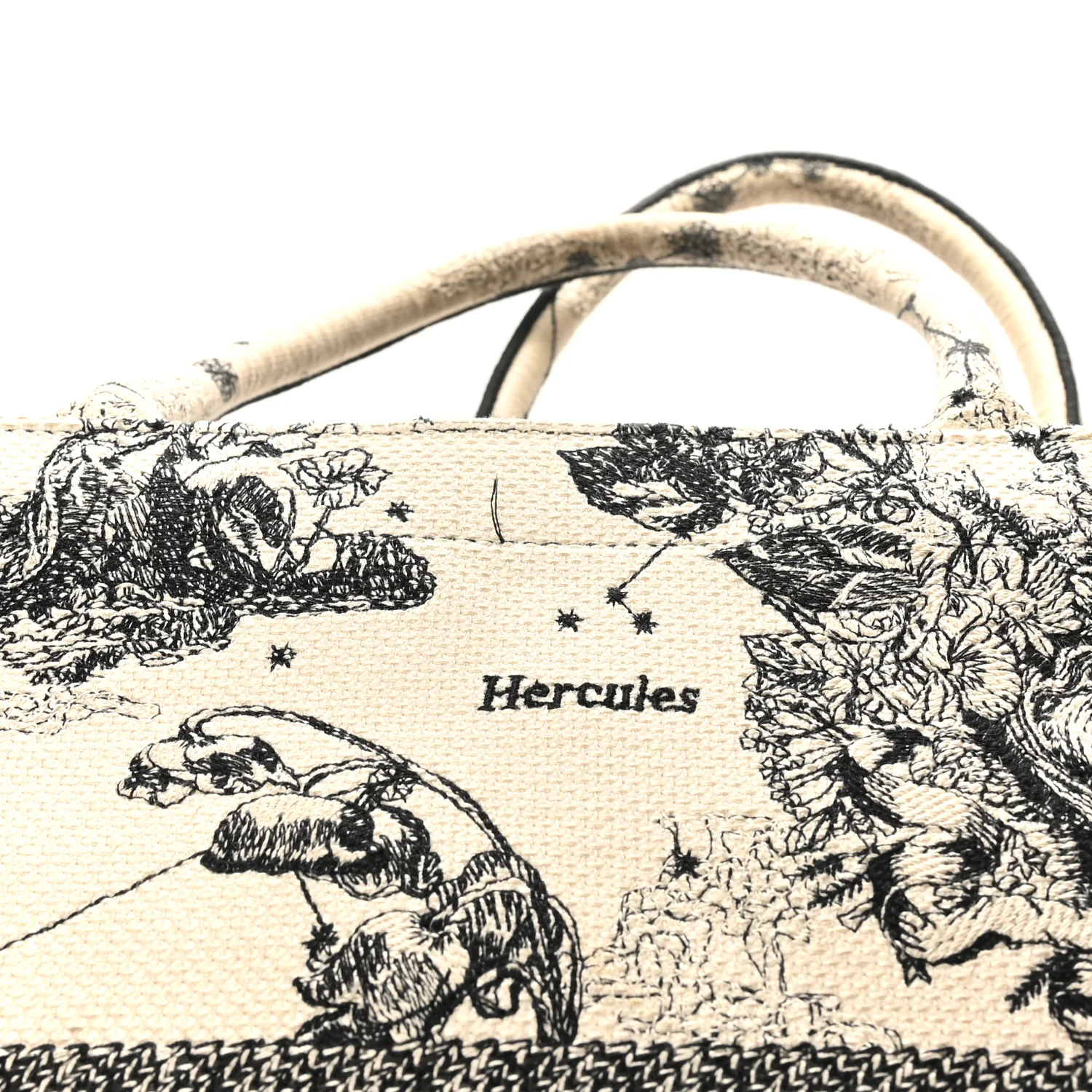 Canvas Embroidered Large Zodiac Toile De Jouy Book Tote Latte - Image 13