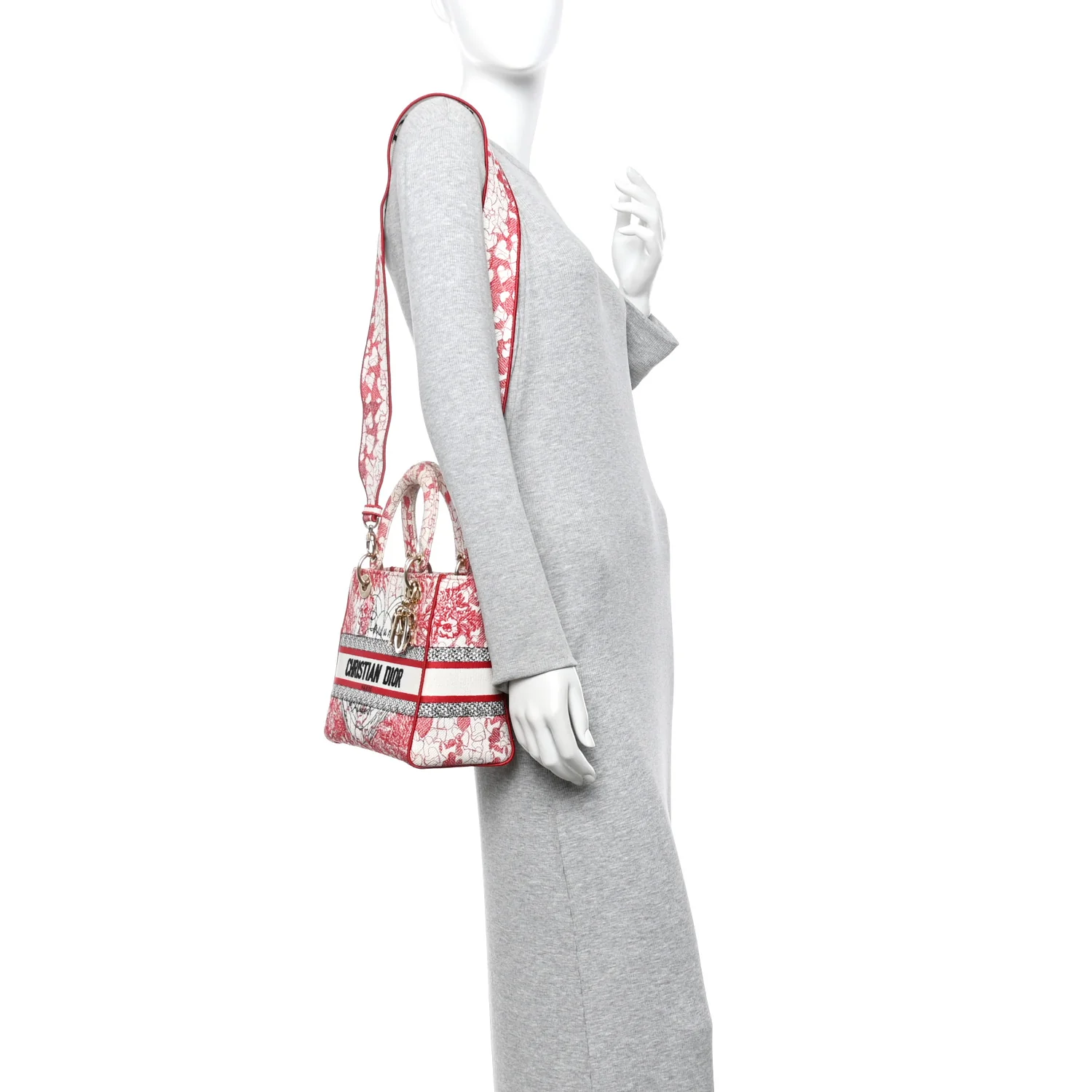 Canvas Embroidered Medium Dioramour D-Royaume Lady D-Lite Red Multicolor - Image 2