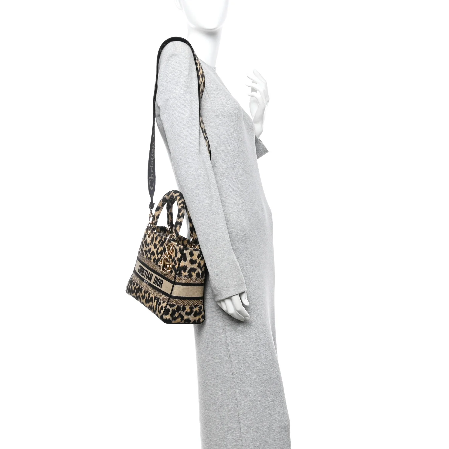 Canvas Medium Mizza Embroidered Lady D-Lite Beige Multicolor - Image 2