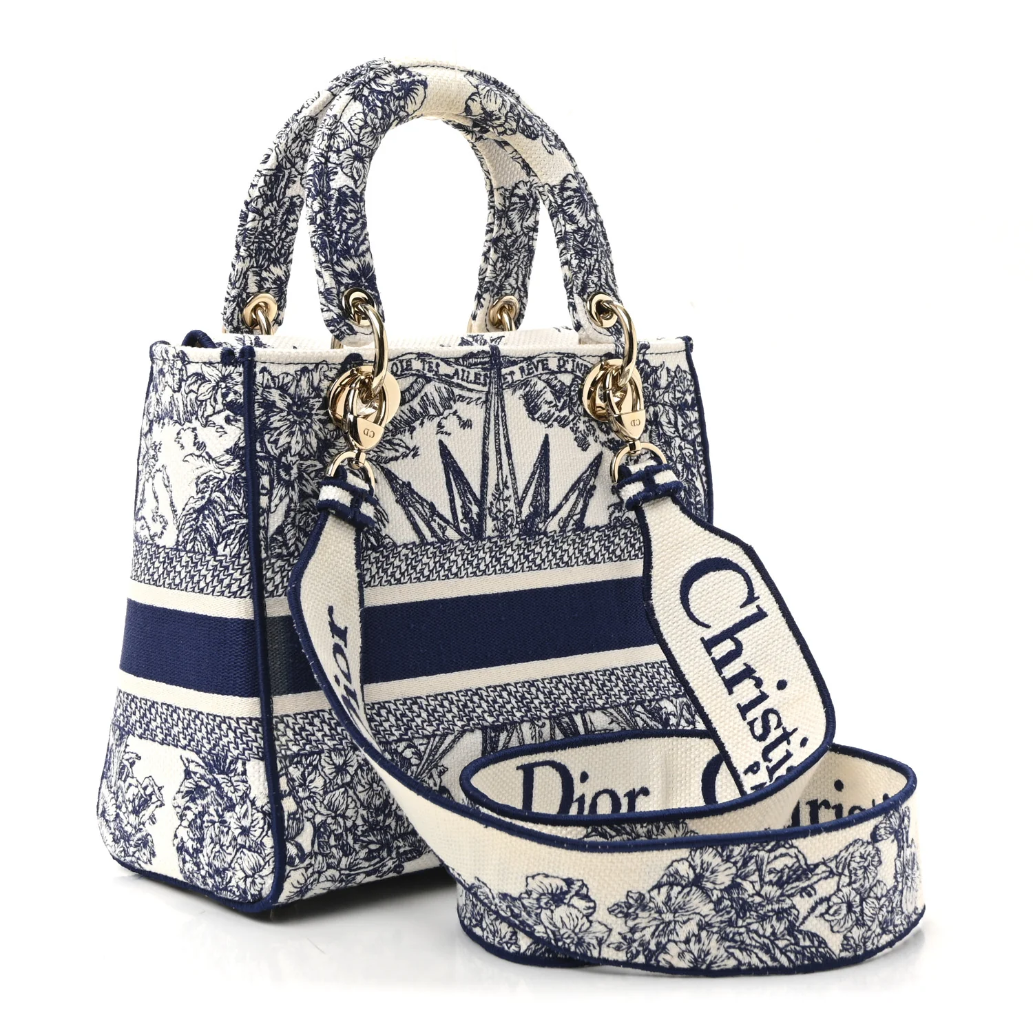 Canvas Reverse Embroidered RĂȘve d'Infini Medium Lady D-Lite Blue Multicolor - Image 3