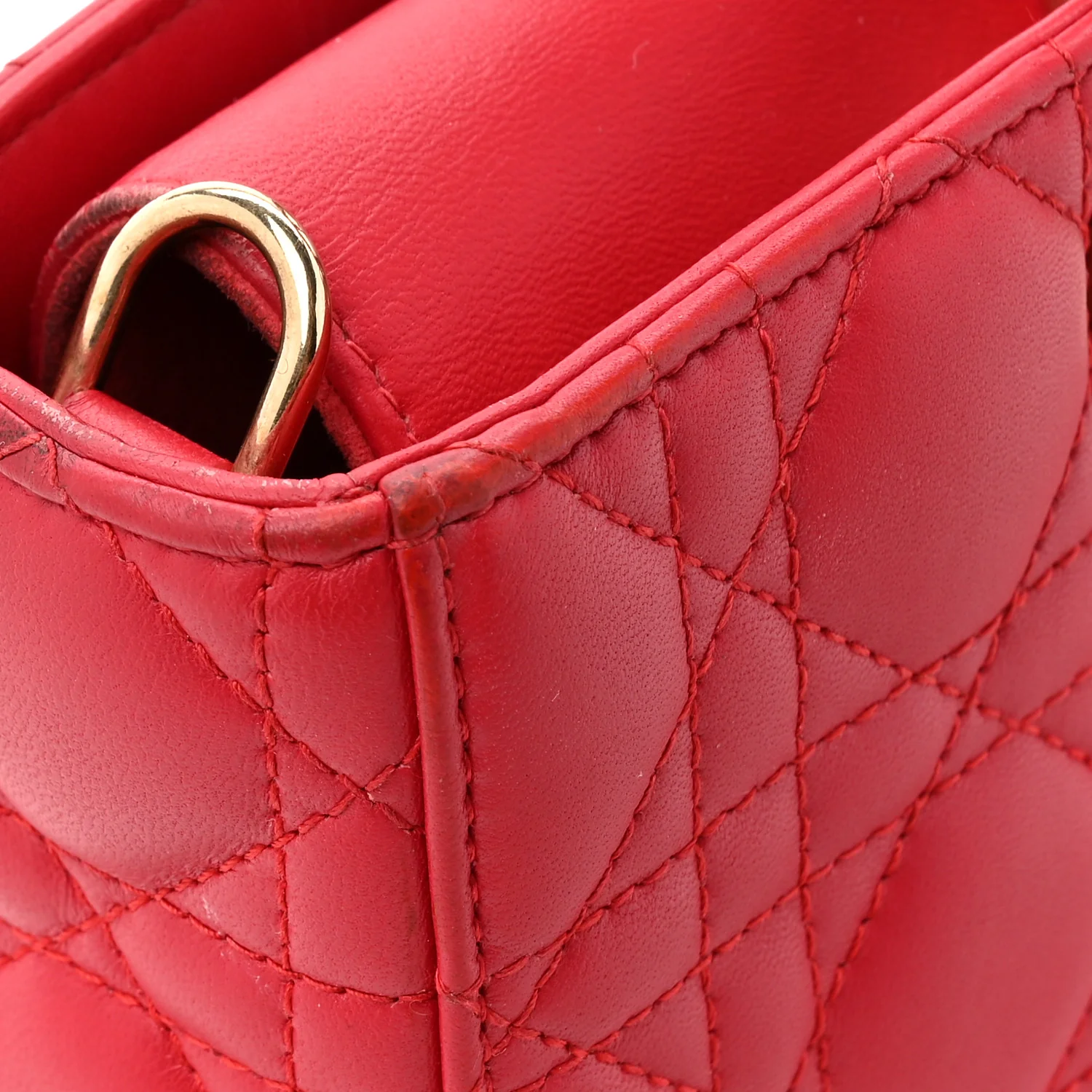 Lambskin Cannage Medium Lady D-Joy Red - Image 17