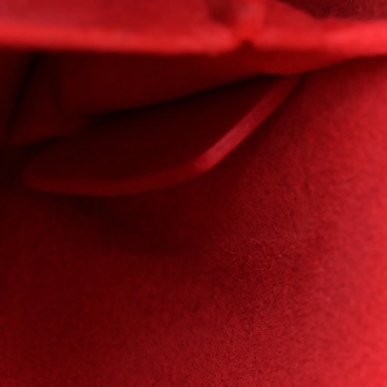 Lambskin Cannage Medium Lady D-Joy Red - Image 7