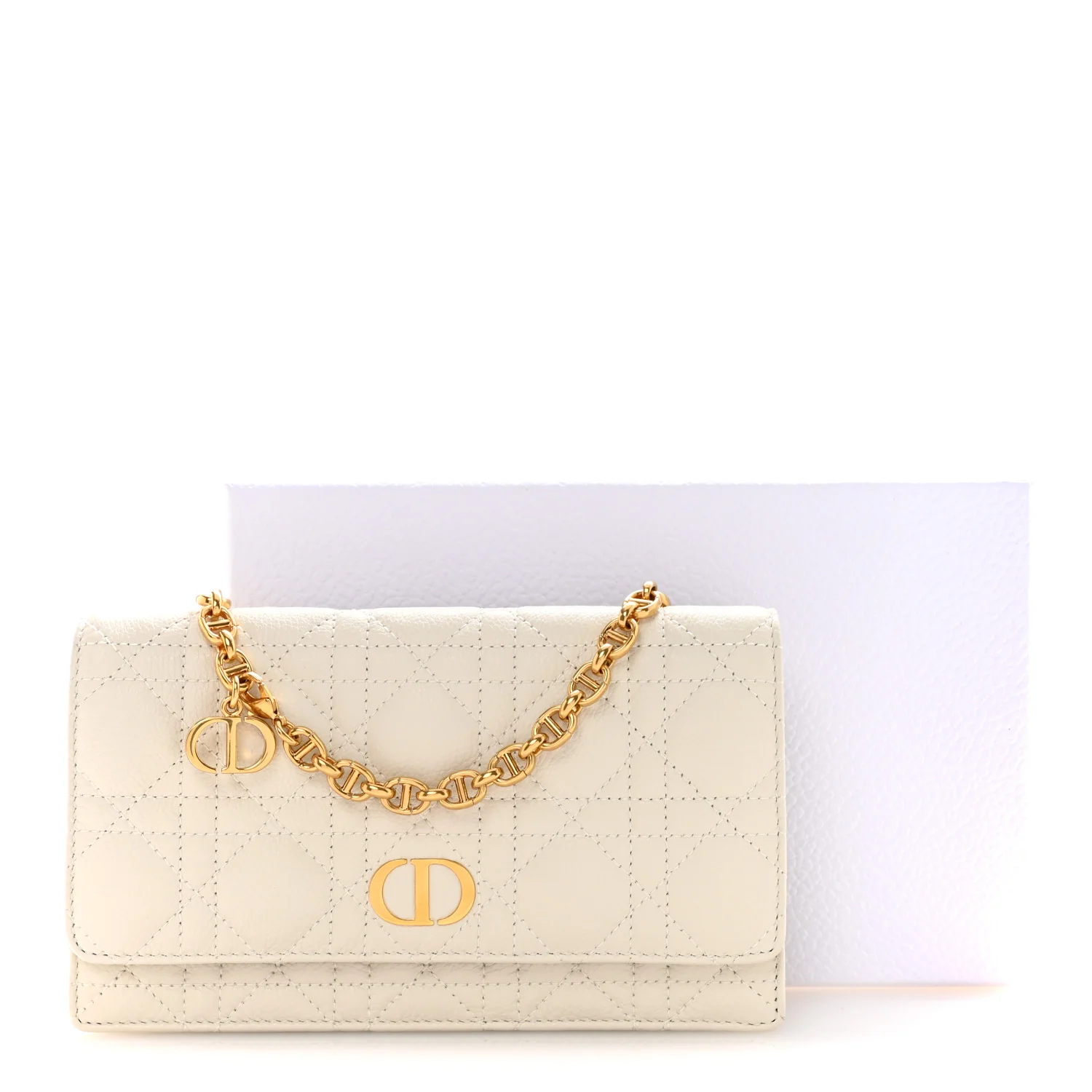 Supple Calfskin Caro Pouch with Chain Latte - Image 15
