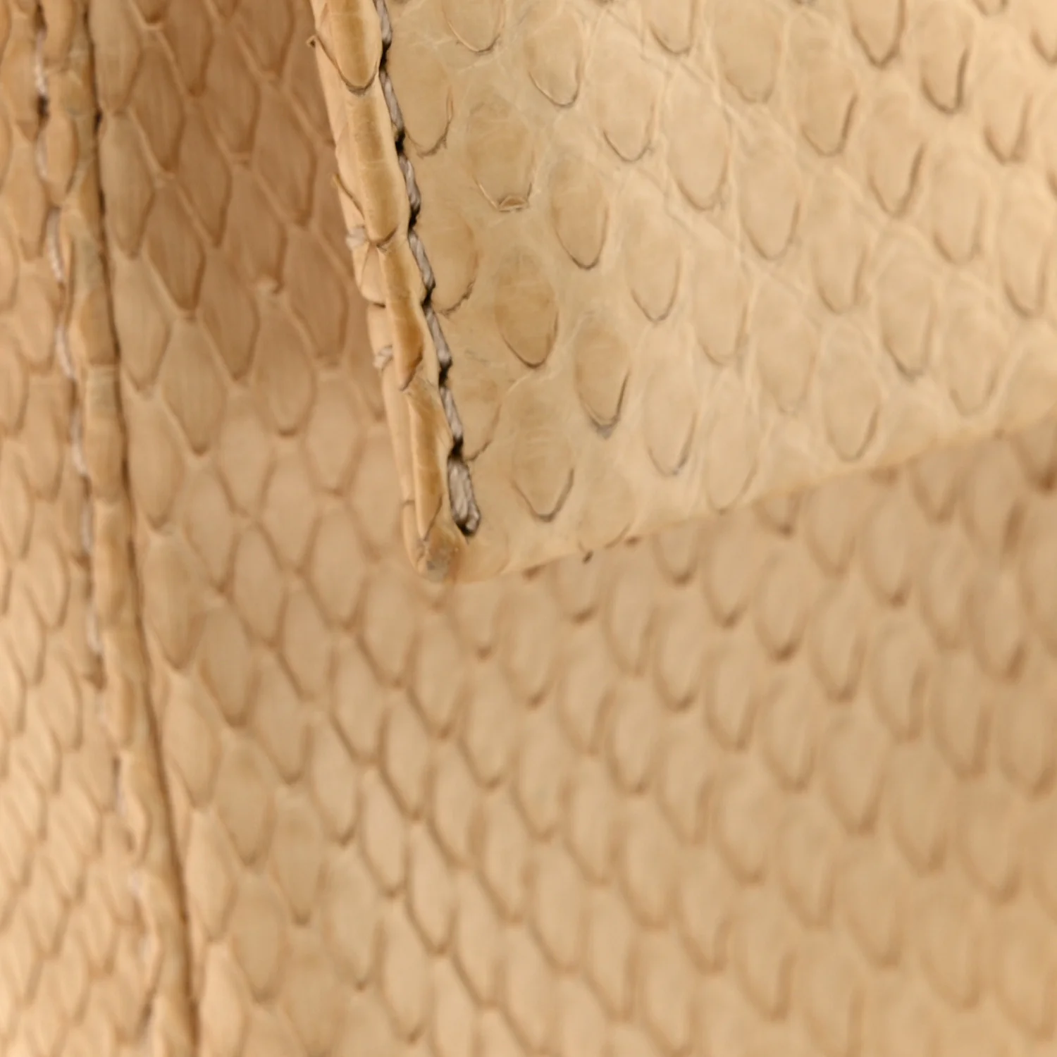 Snakeskin Baguette Light Beige - Image 13