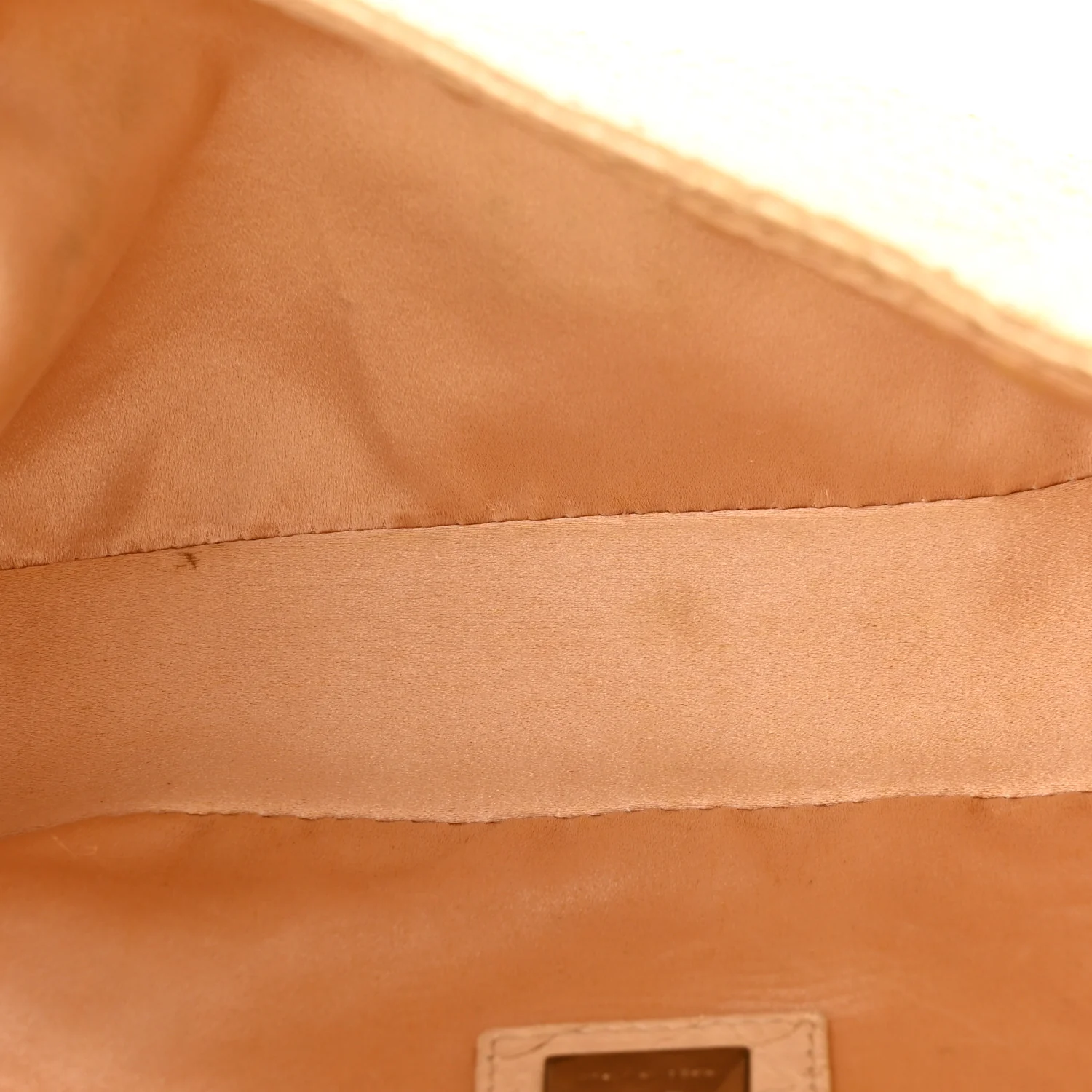 Snakeskin Baguette Light Beige - Image 5