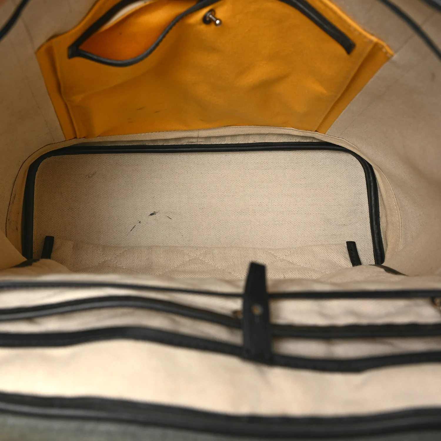 Goyardine Calfskin Alpin MM Backpack Black - Image 5