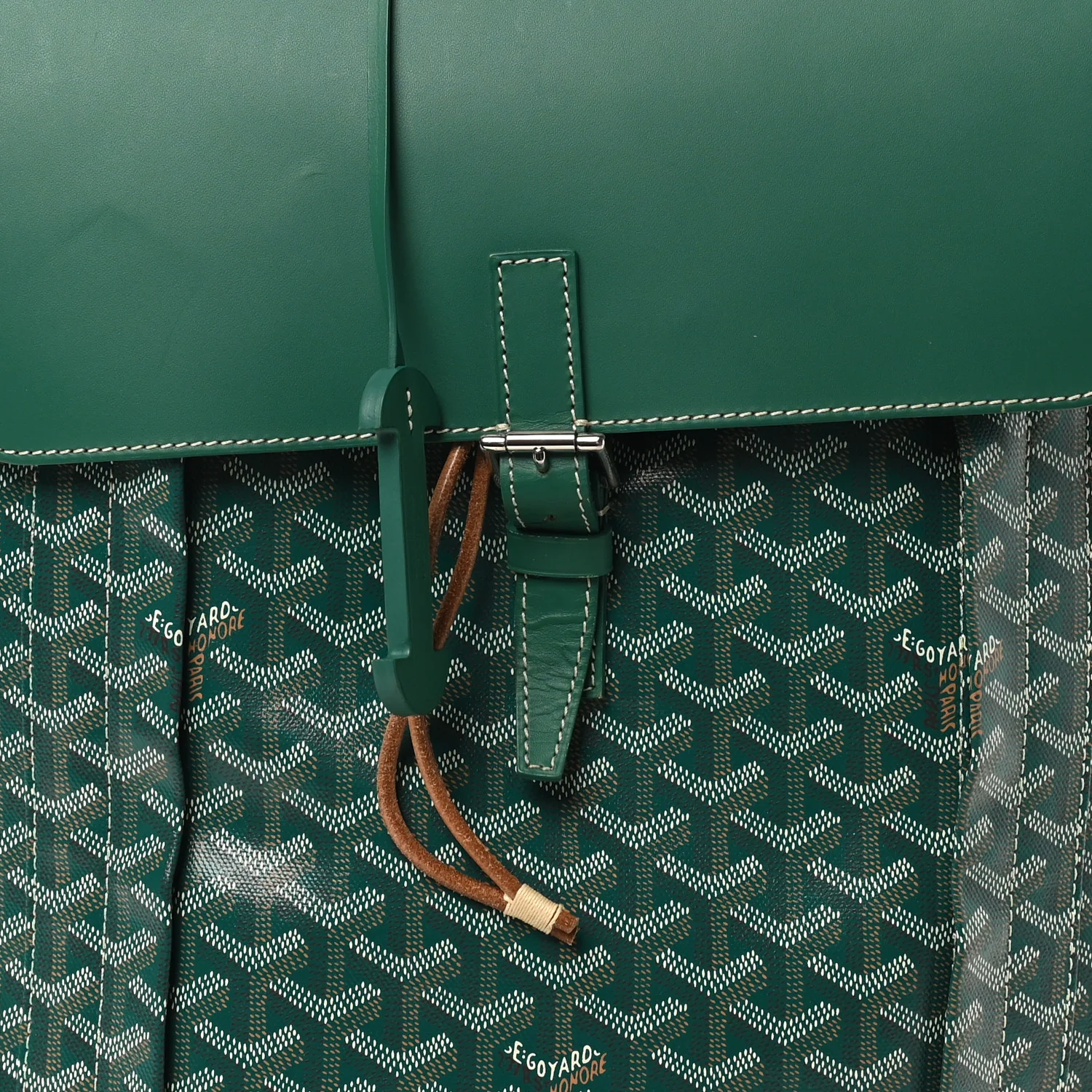 Goyardine Calfskin Alpin MM Backpack Green - Image 7