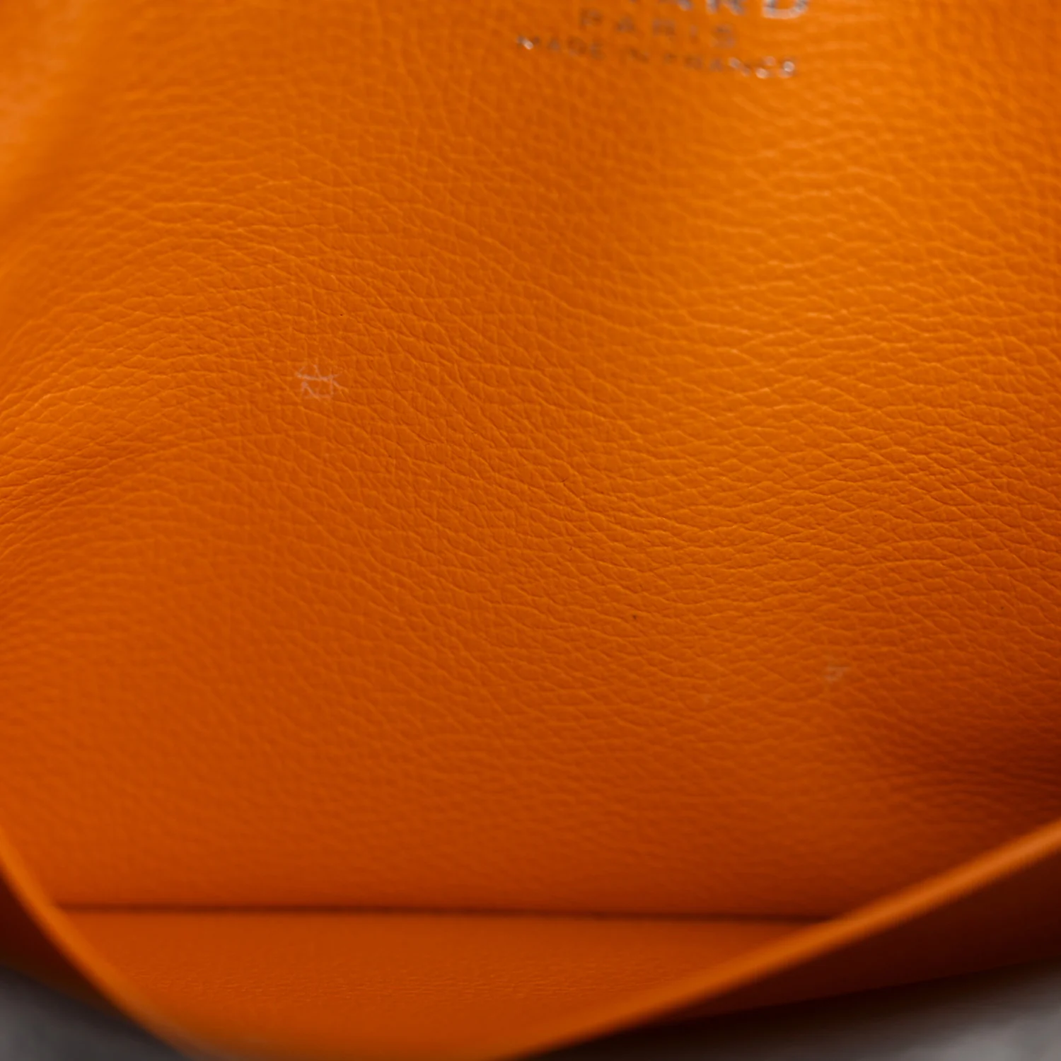 Goyardine Mini Saigon Grey - Image 11
