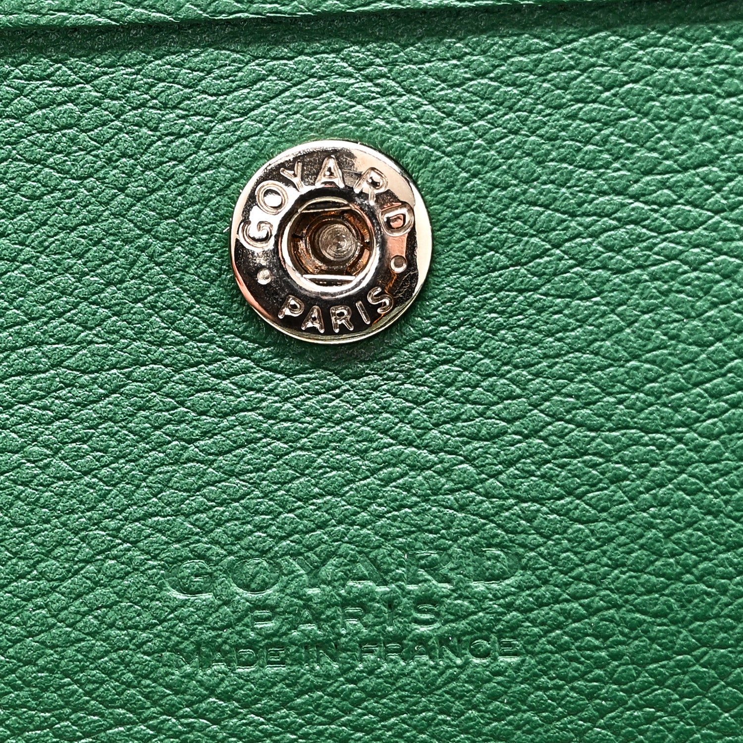 Goyardine Saint Louis PM Green - Image 7