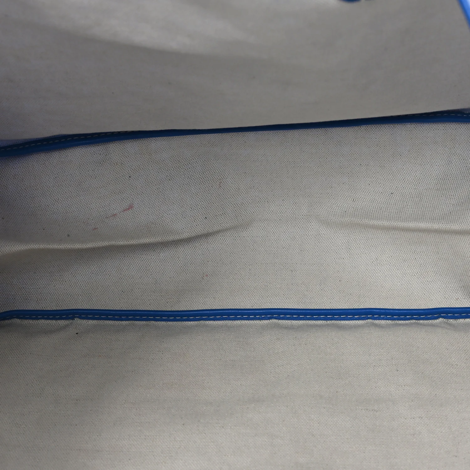 Goyardine Saint Louis PM Sky Blue - Image 6