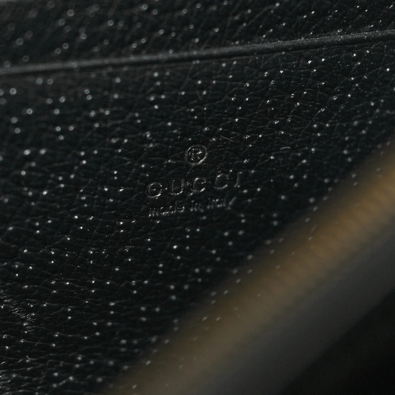 Calfskin Web Mini Dionysus Chain Wallet Black - Image 6