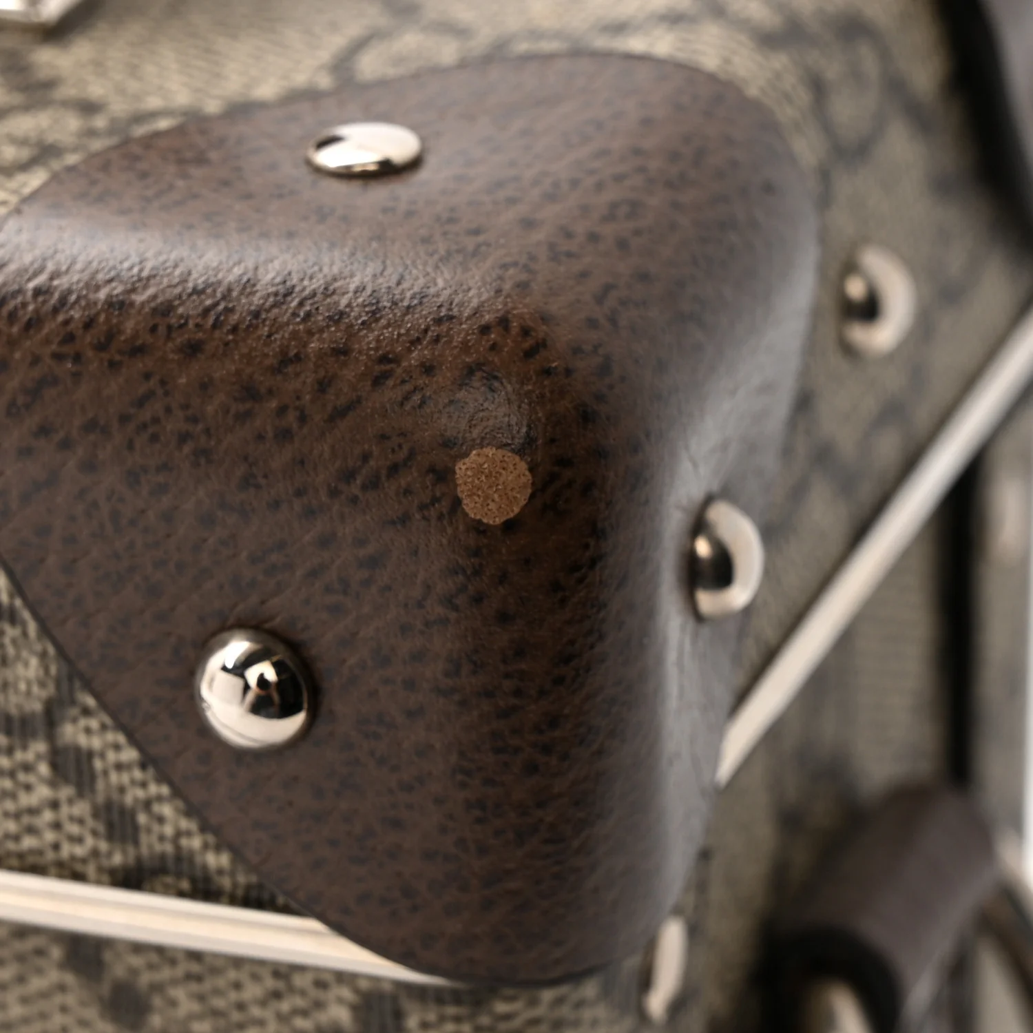 GG Supreme Monogram Globe-Trotter Beauty Case Brown - Image 13