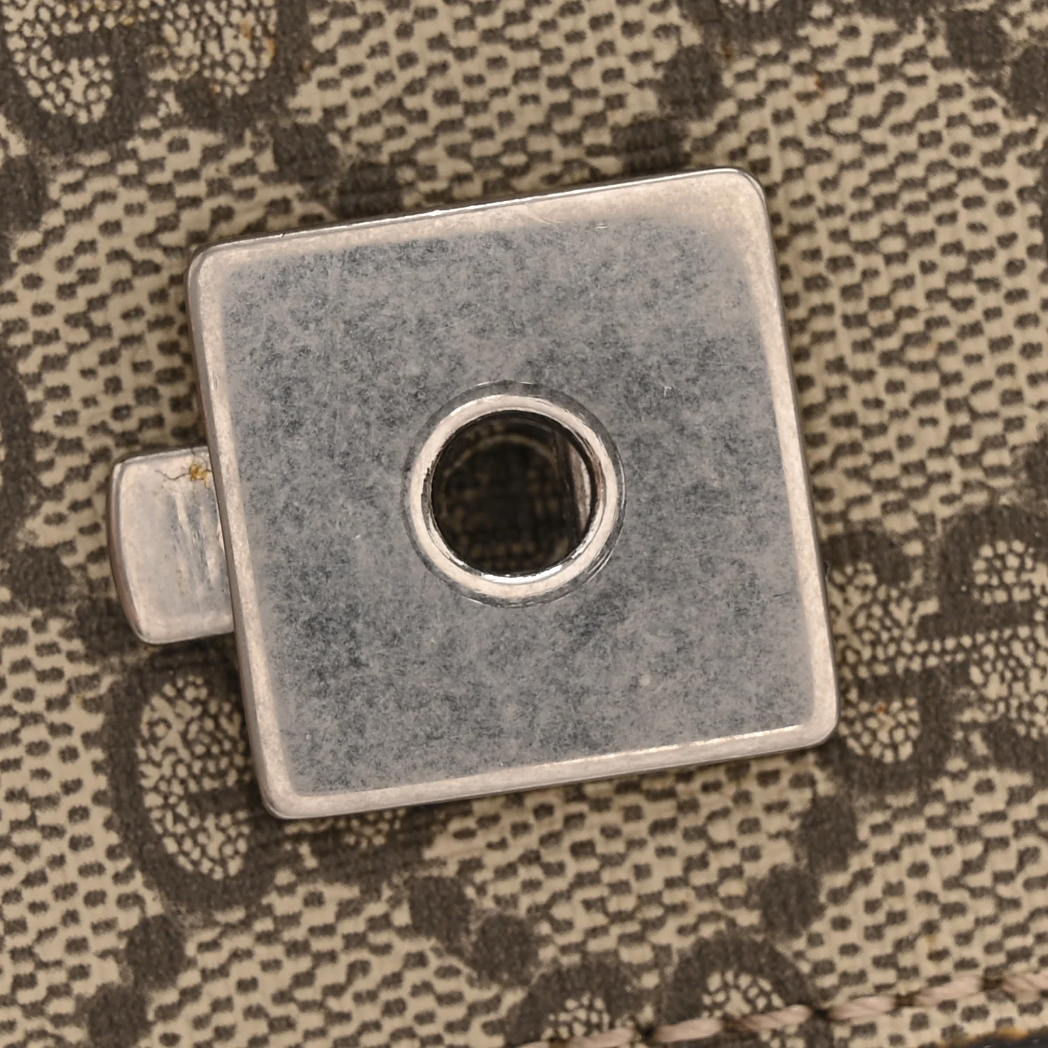 GG Supreme Monogram Mini Dionysus Shoulder Bag Taupe - Image 12