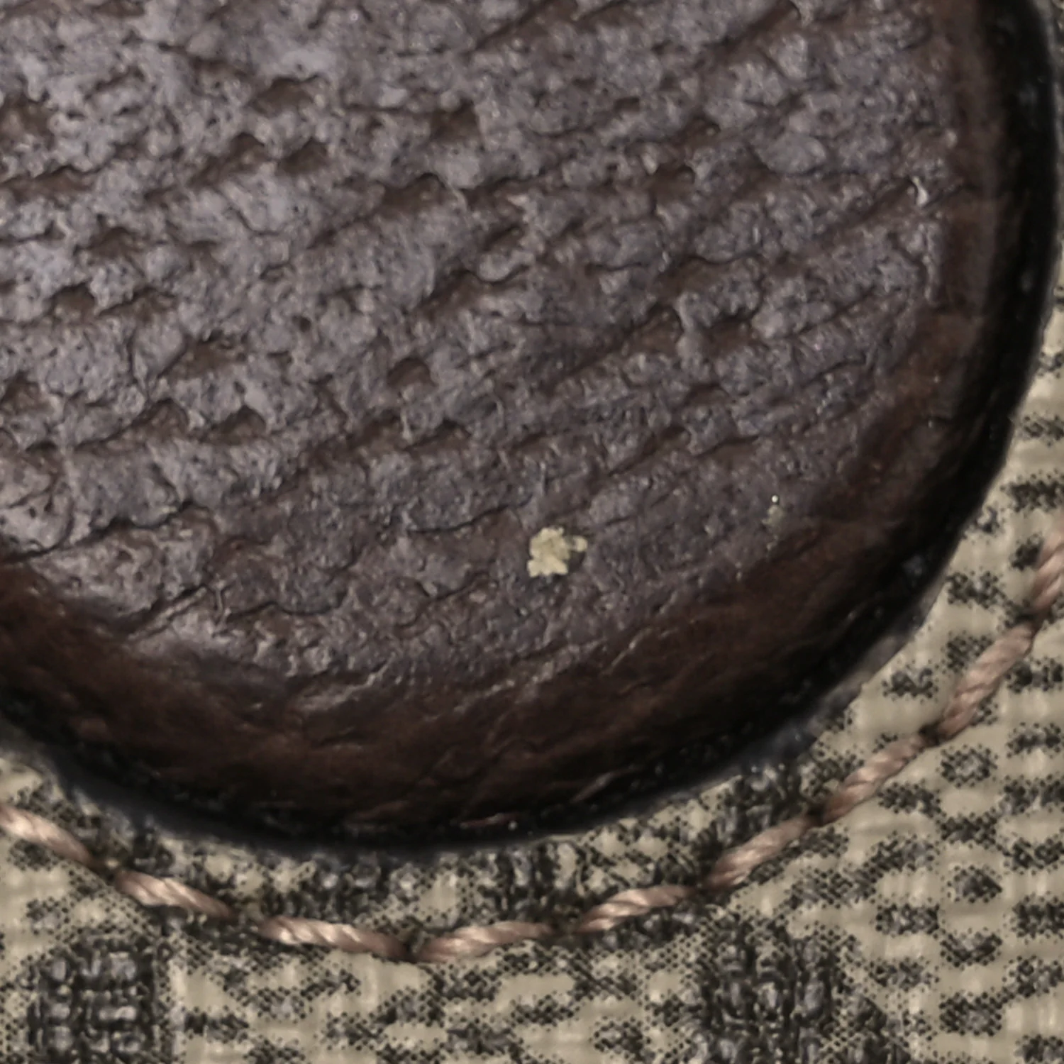 GG Supreme Monogram Neo Vintage Web Belt Bag Brown - Image 11