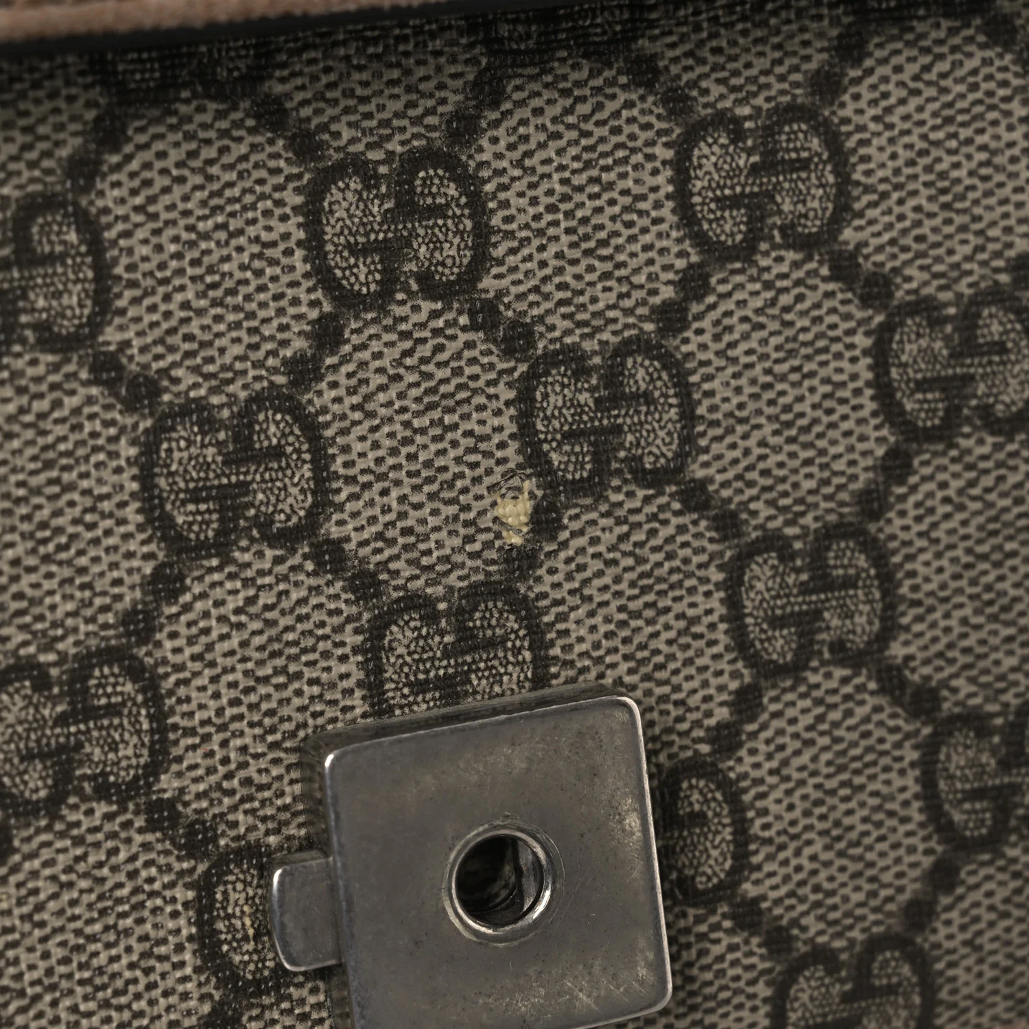 GG Supreme Monogram Small Dionysus Shoulder Bag Taupe - Image 14