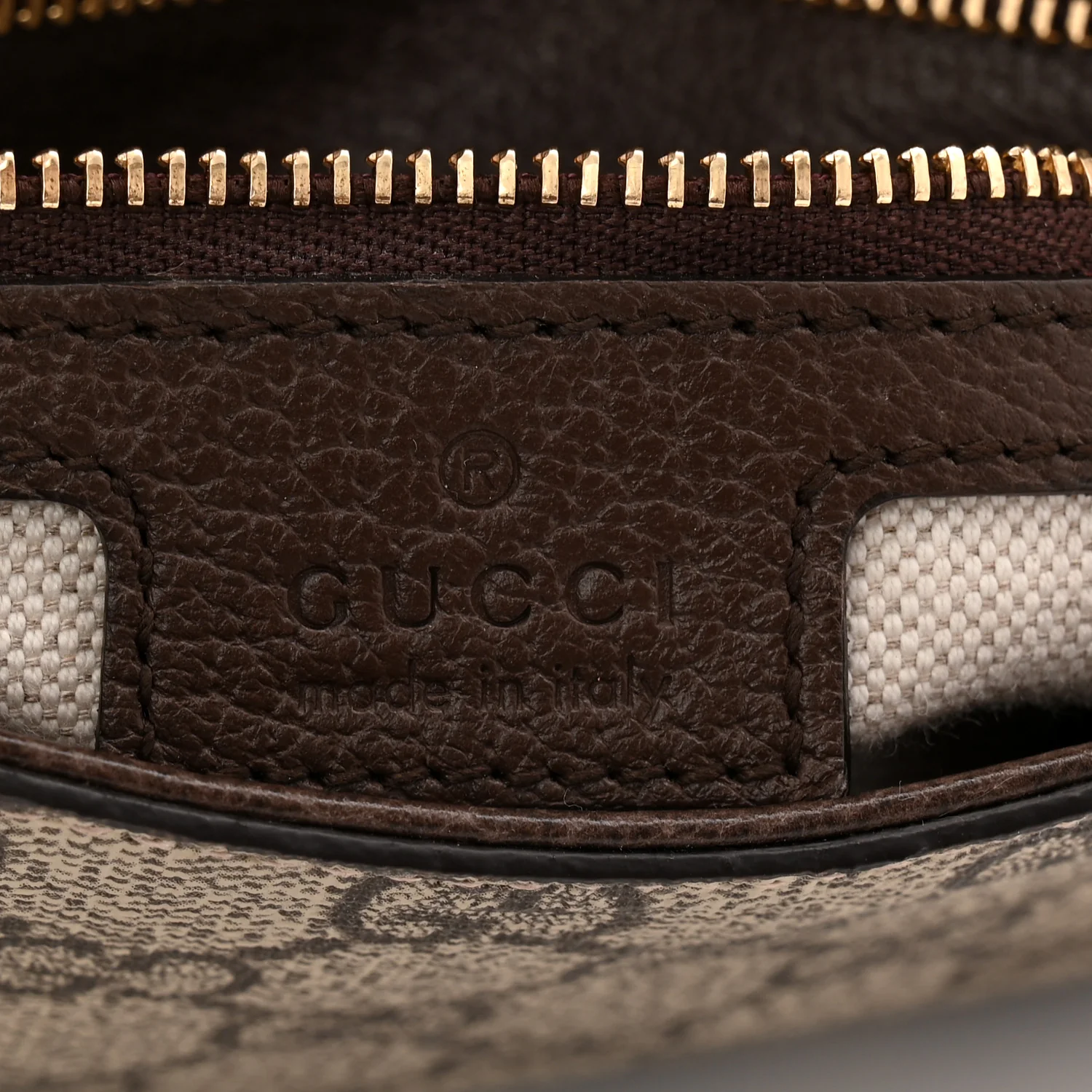 GG Supreme Monogram Textured Dollar Calfskin Blondie Chain Shoulder Flap Bag Beige Ebony New Acero - Image 6
