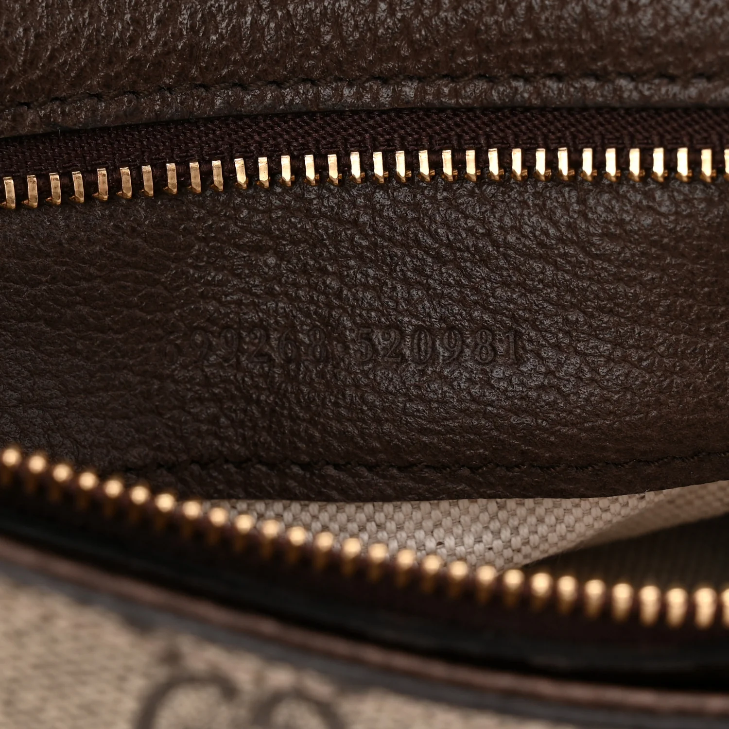 GG Supreme Monogram Textured Dollar Calfskin Blondie Chain Shoulder Flap Bag Beige Ebony New Acero - Image 7
